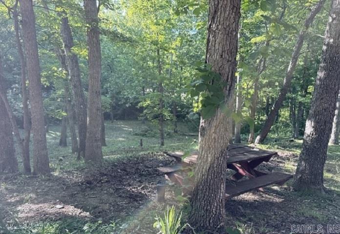 Photo 18 - Residential for sale – 54  Ponderosa Cir   Williford, AR