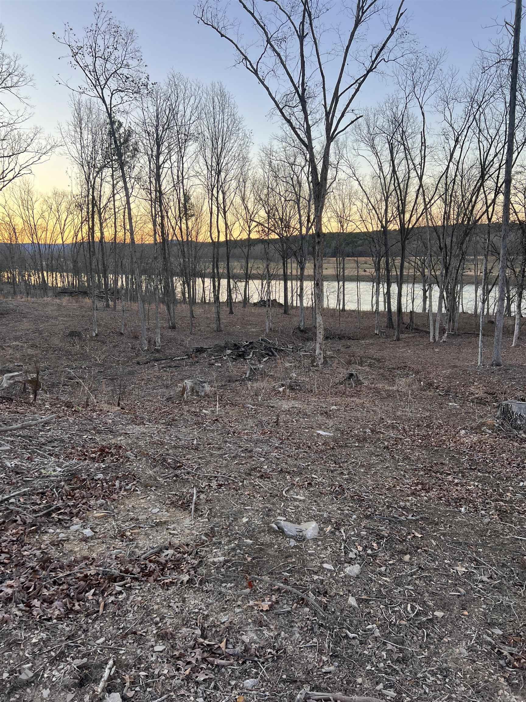 Photo 2 - Vacant Land for sale – Tract 2  Mountain View   Locust Grove, AR