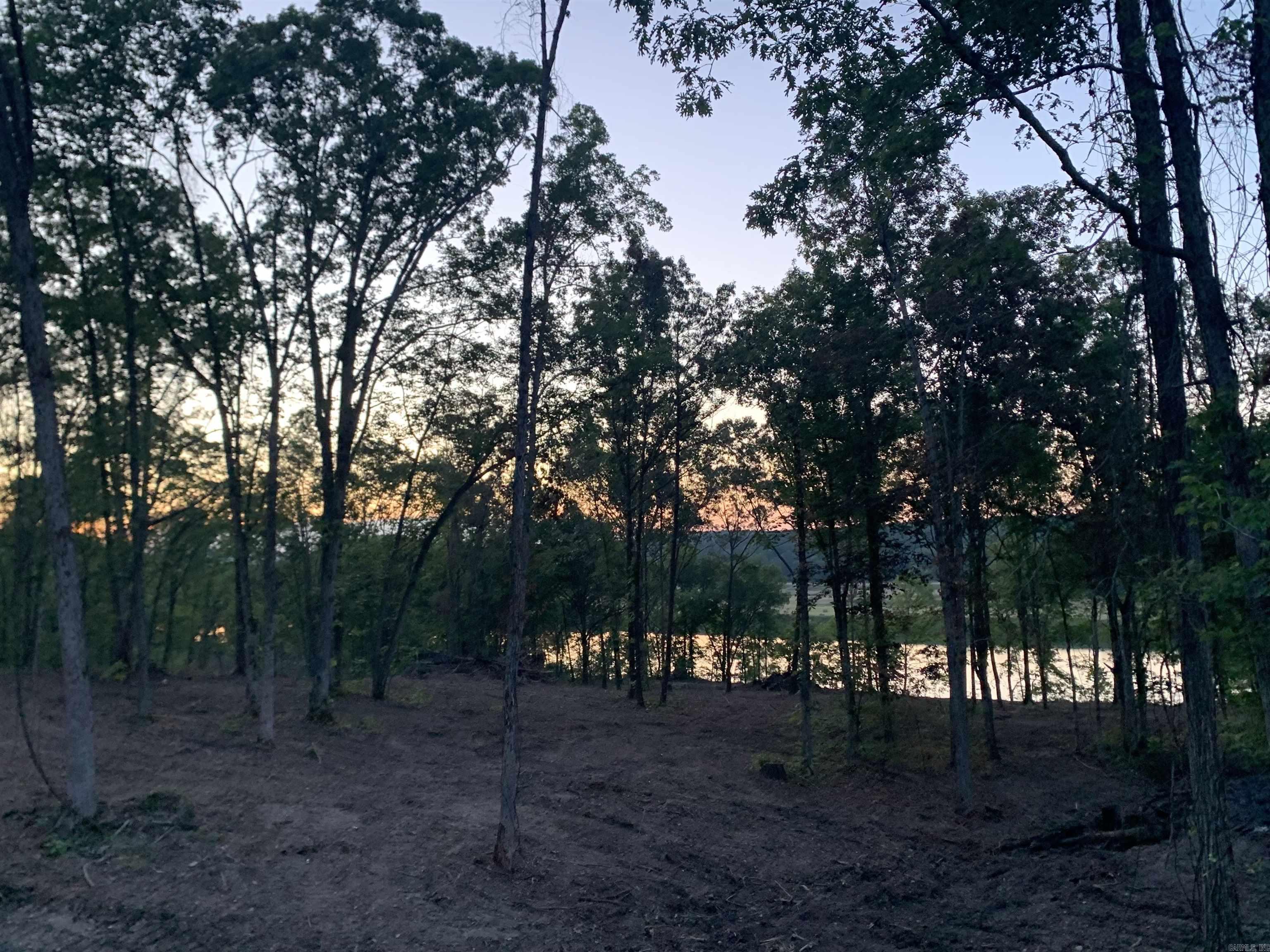 Photo 3 - Vacant Land for sale – Tract 2  Mountain View   Locust Grove, AR