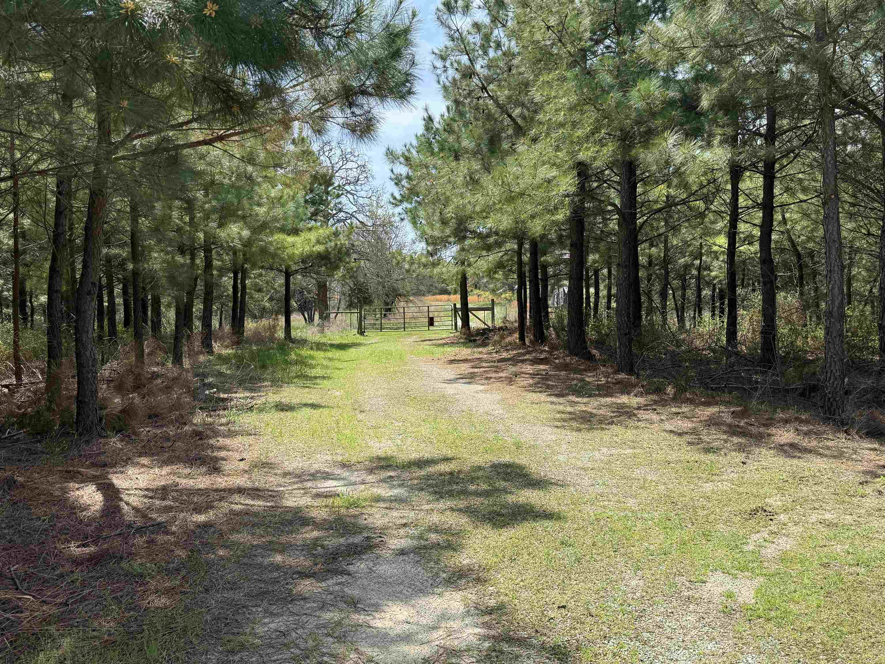 Photo 3 - Residential for sale – 2061  Chapel Hill Road   Melbourne, AR