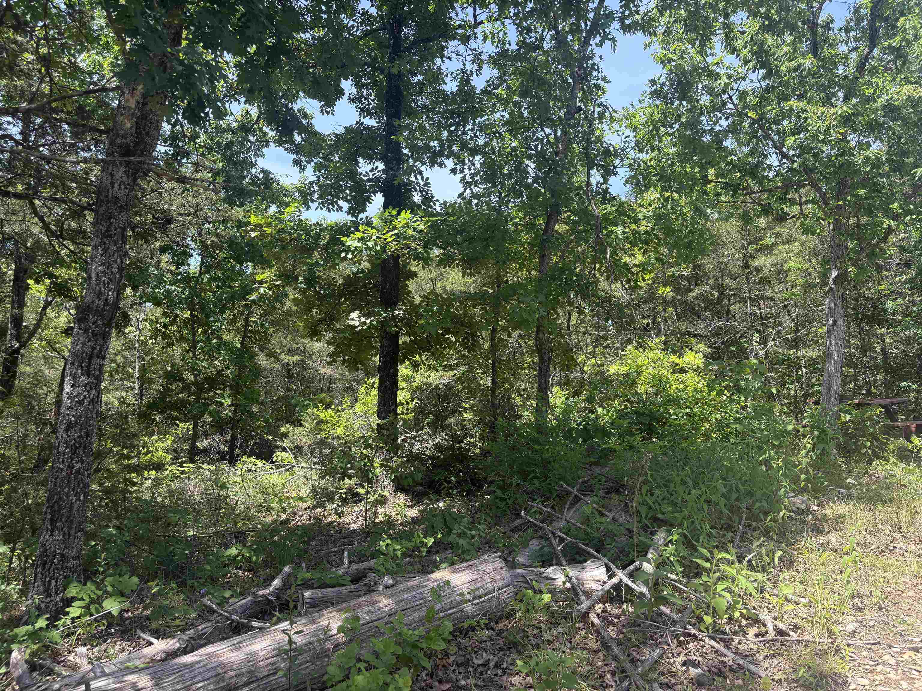 Photo 14 - Vacant Land for sale – 27  Big Buck   Williford, AR