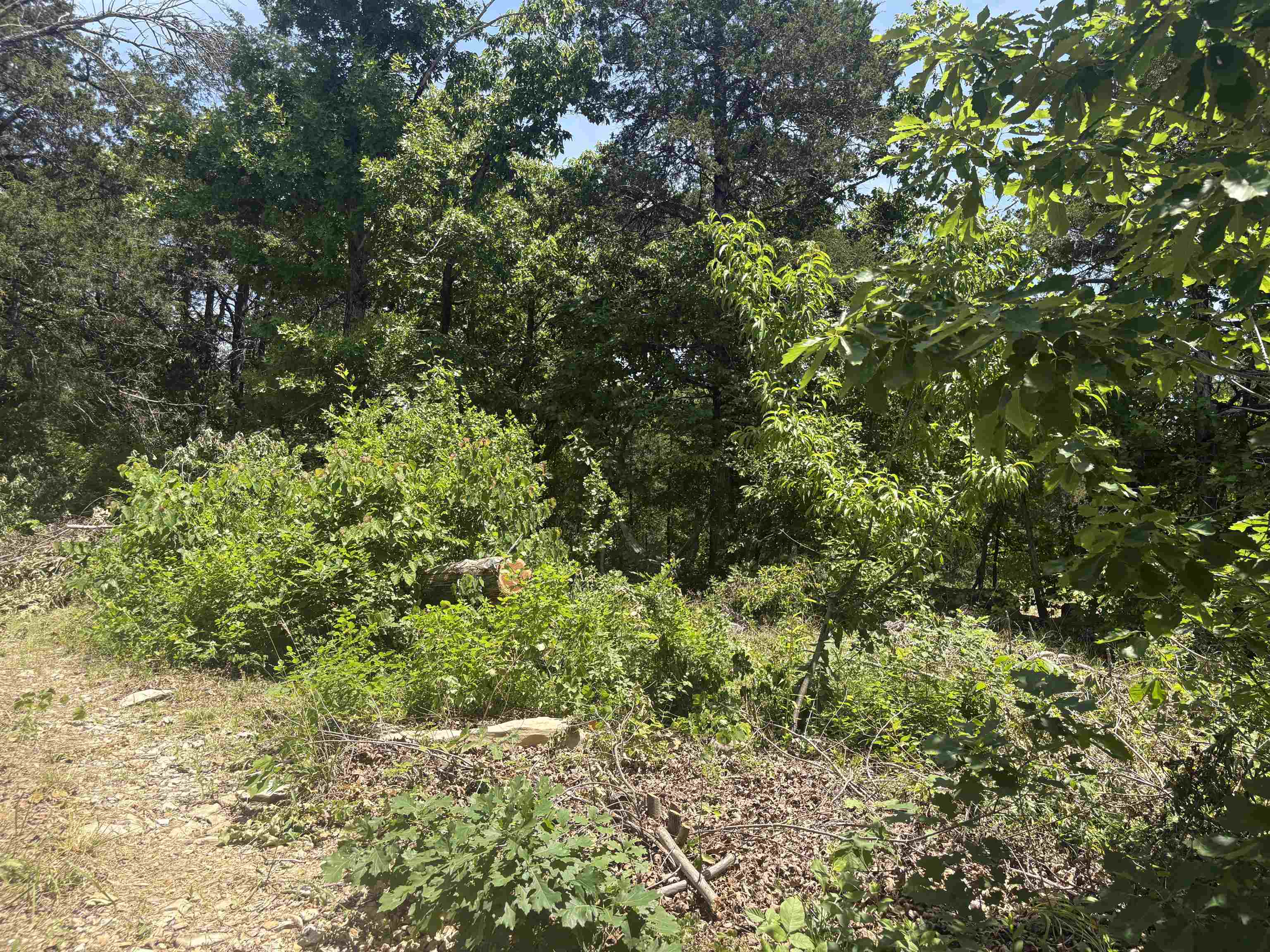 Photo 15 - Vacant Land for sale – 27  Big Buck   Williford, AR