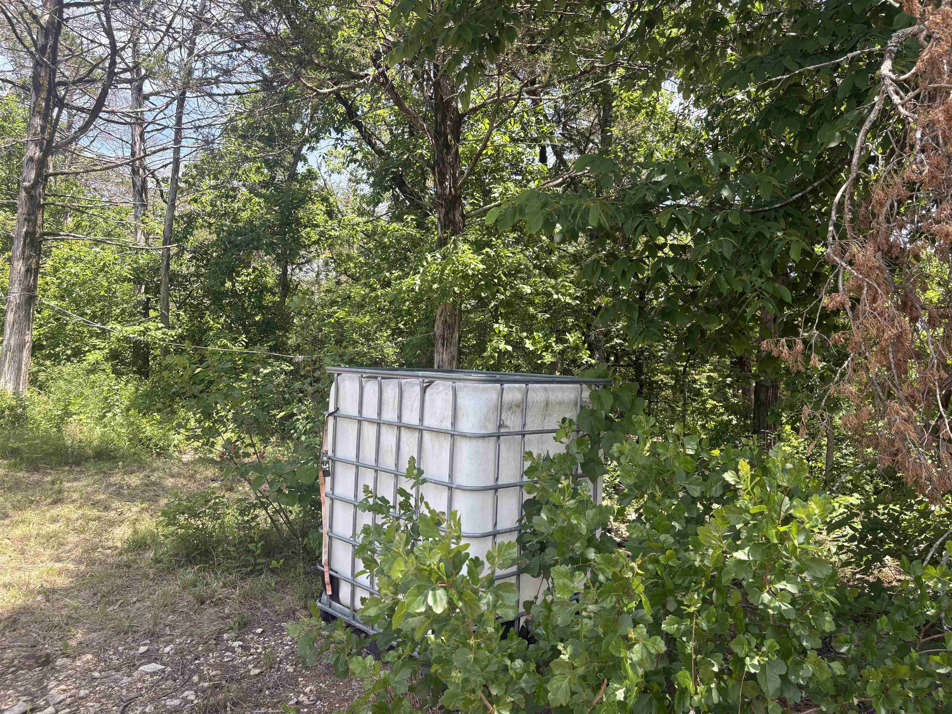 Photo 16 - Vacant Land for sale – 27  Big Buck   Williford, AR