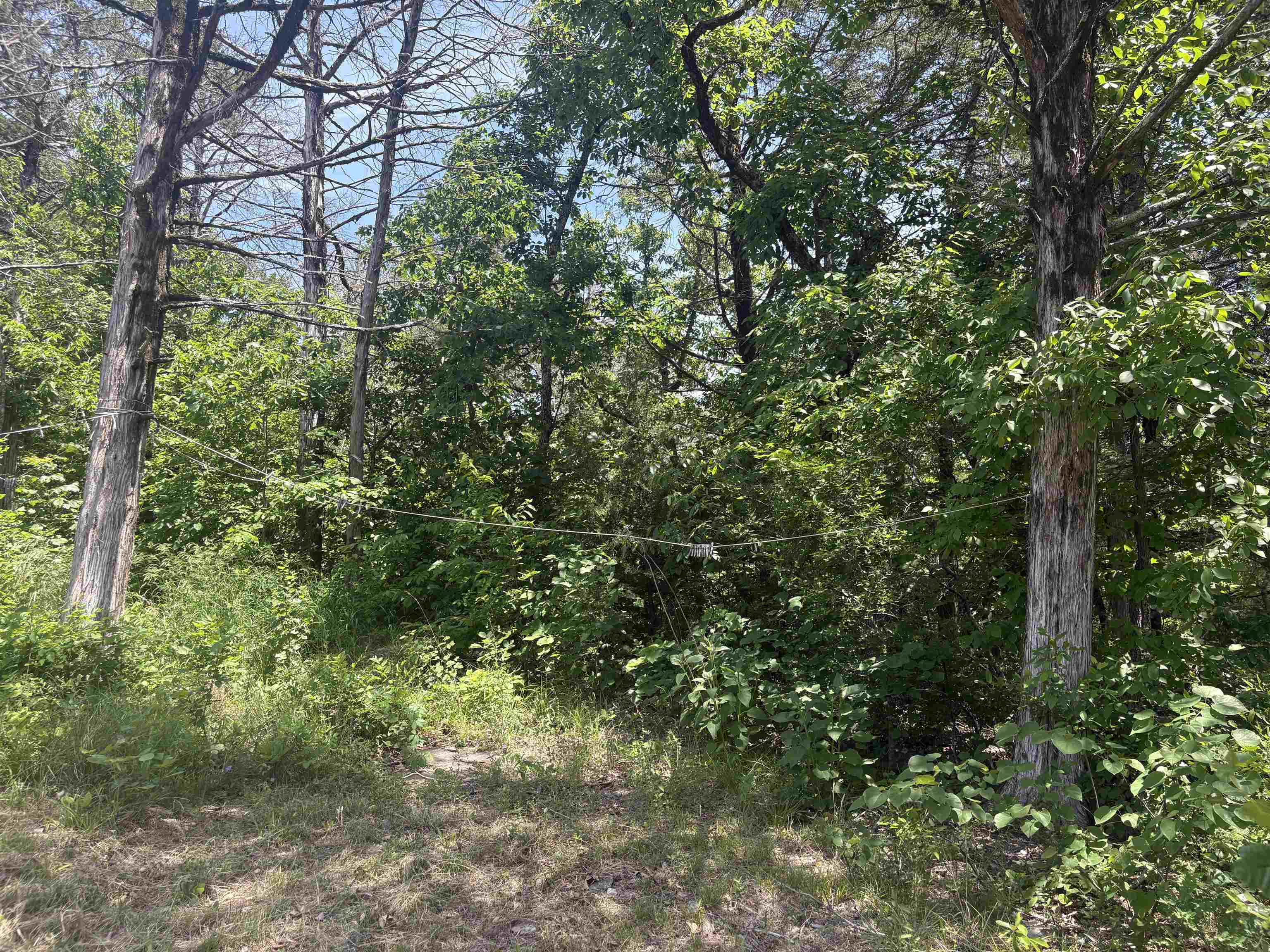 Photo 17 - Vacant Land for sale – 27  Big Buck   Williford, AR