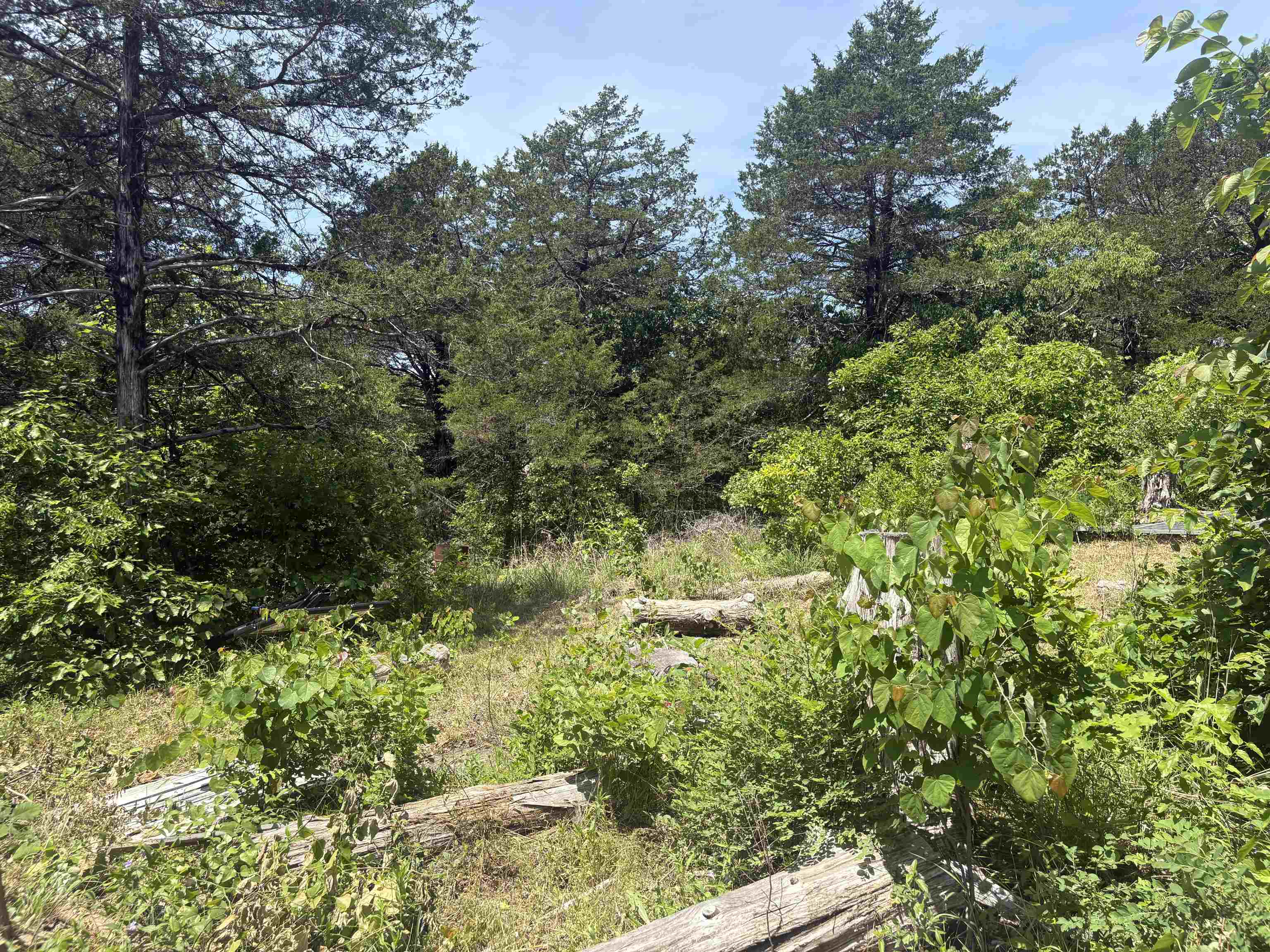 Photo 21 - Vacant Land for sale – 27  Big Buck   Williford, AR