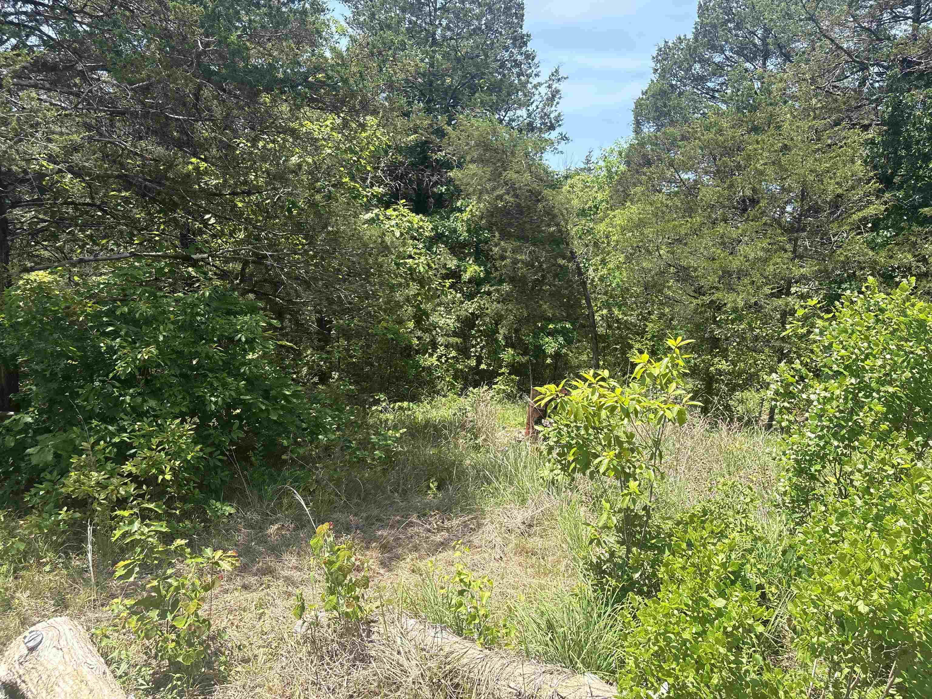 Photo 22 - Vacant Land for sale – 27  Big Buck   Williford, AR