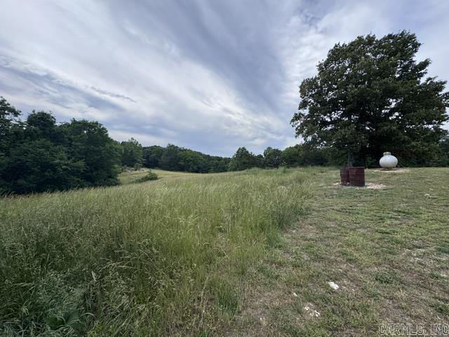 Photo 23 - Residential for sale – 711 E Red Barn   Cave City, AR