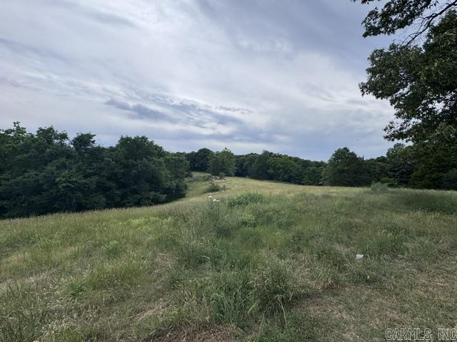 Photo 24 - Residential for sale – 711 E Red Barn   Cave City, AR
