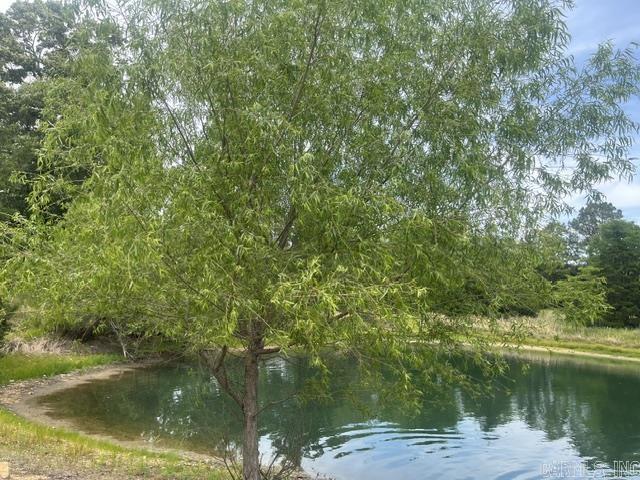 Photo 30 - Residential for sale – 711 E Red Barn   Cave City, AR