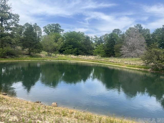 Photo 31 - Residential for sale – 711 E Red Barn   Cave City, AR
