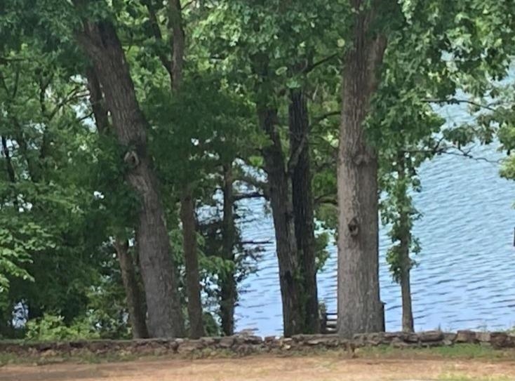 Photo 2 - Residential for sale – 61 E Lakeshore   Cherokee Village, AR