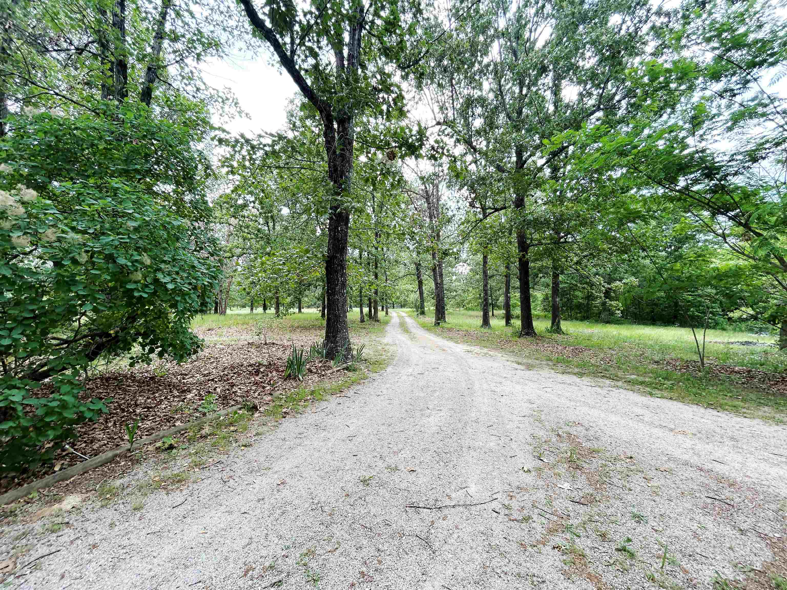Photo 2 - Residential for sale – 1774  AR Hwy 175   Hardy, AR