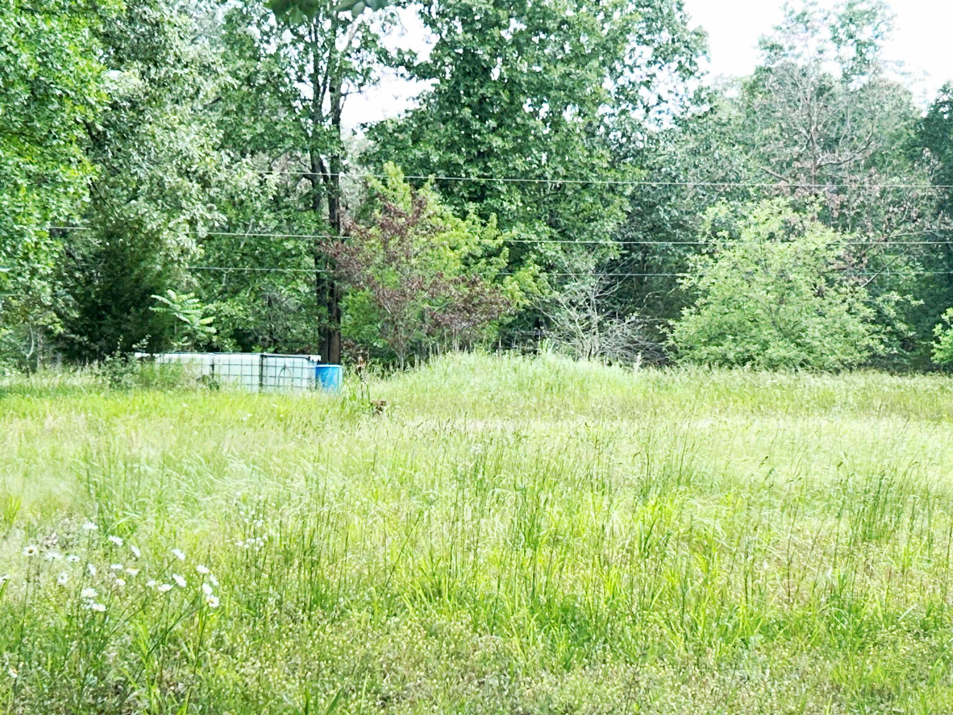 Photo 30 - Residential for sale – 1774  AR Hwy 175   Hardy, AR