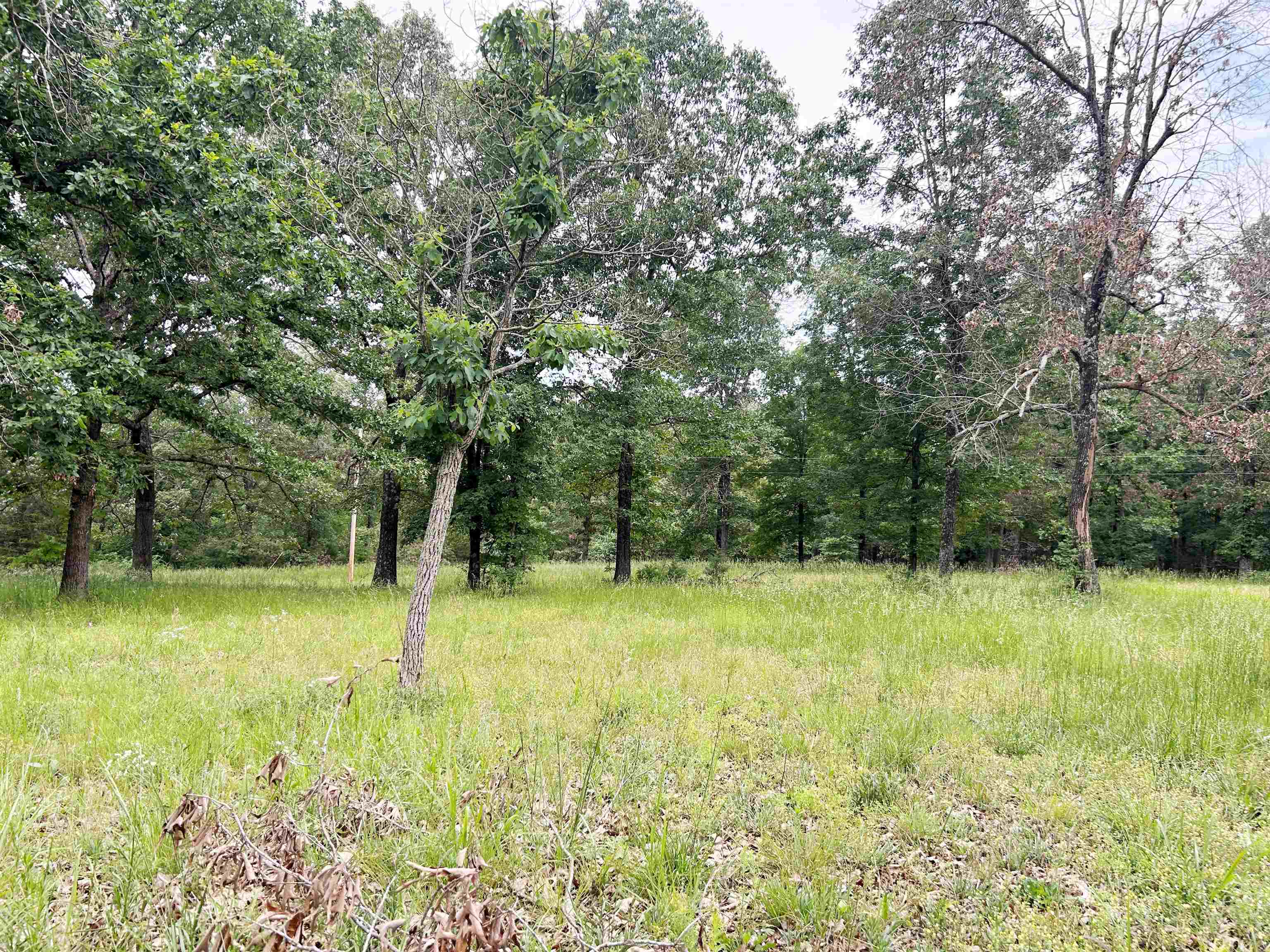 Photo 34 - Residential for sale – 1774  AR Hwy 175   Hardy, AR