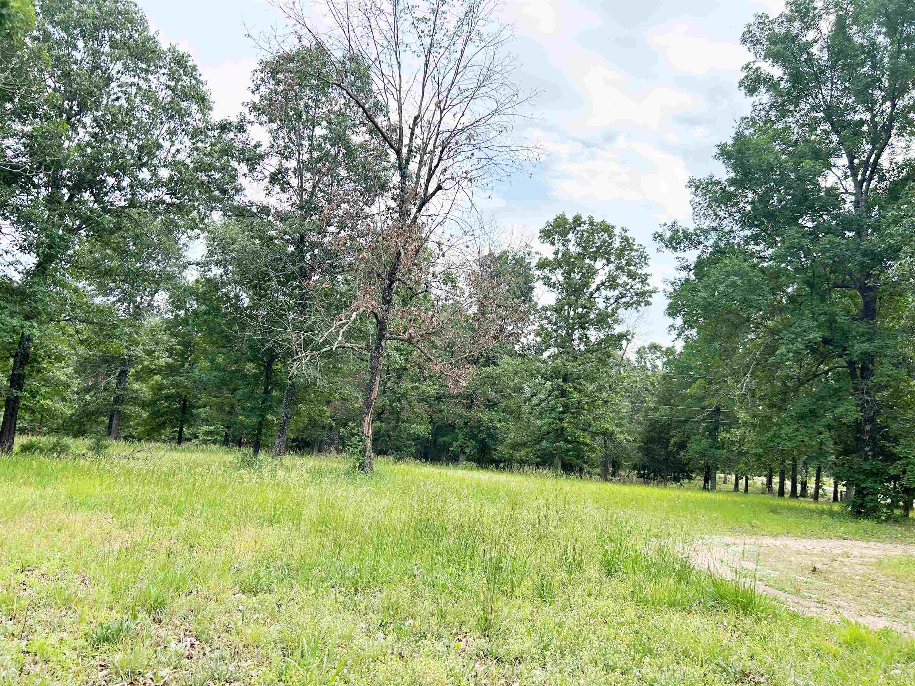 Photo 35 - Residential for sale – 1774  AR Hwy 175   Hardy, AR