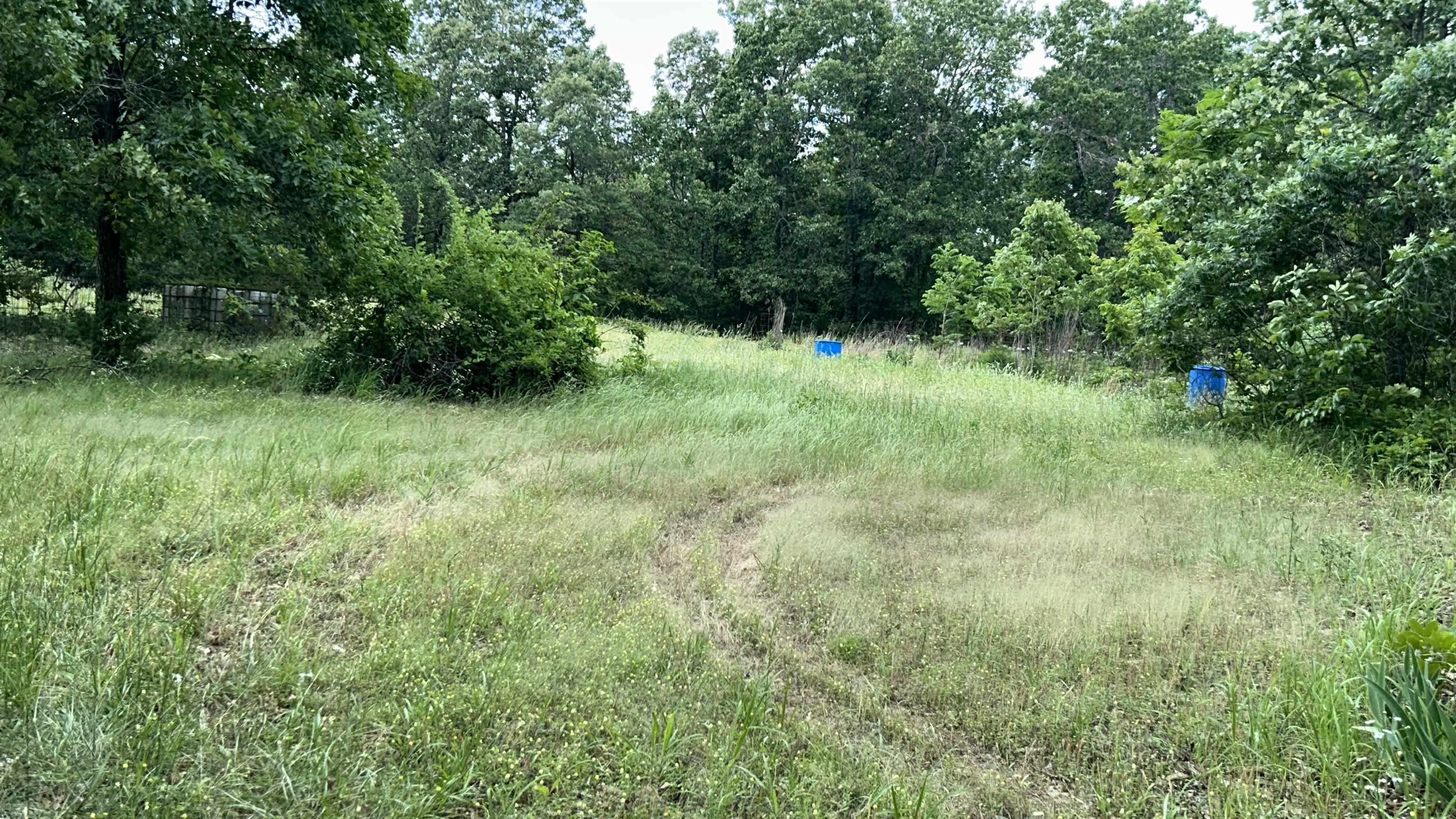 Photo 42 - Residential for sale – 1774  AR Hwy 175   Hardy, AR