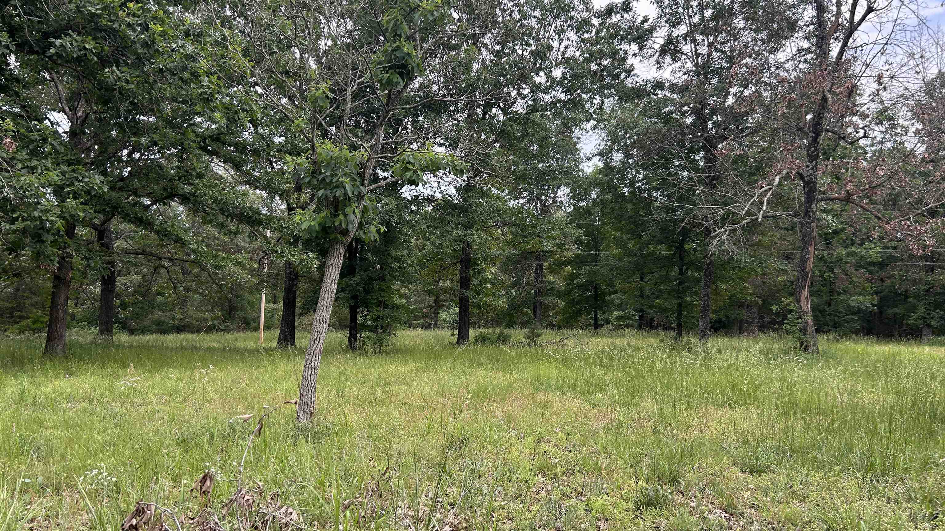 Photo 43 - Residential for sale – 1774  AR Hwy 175   Hardy, AR