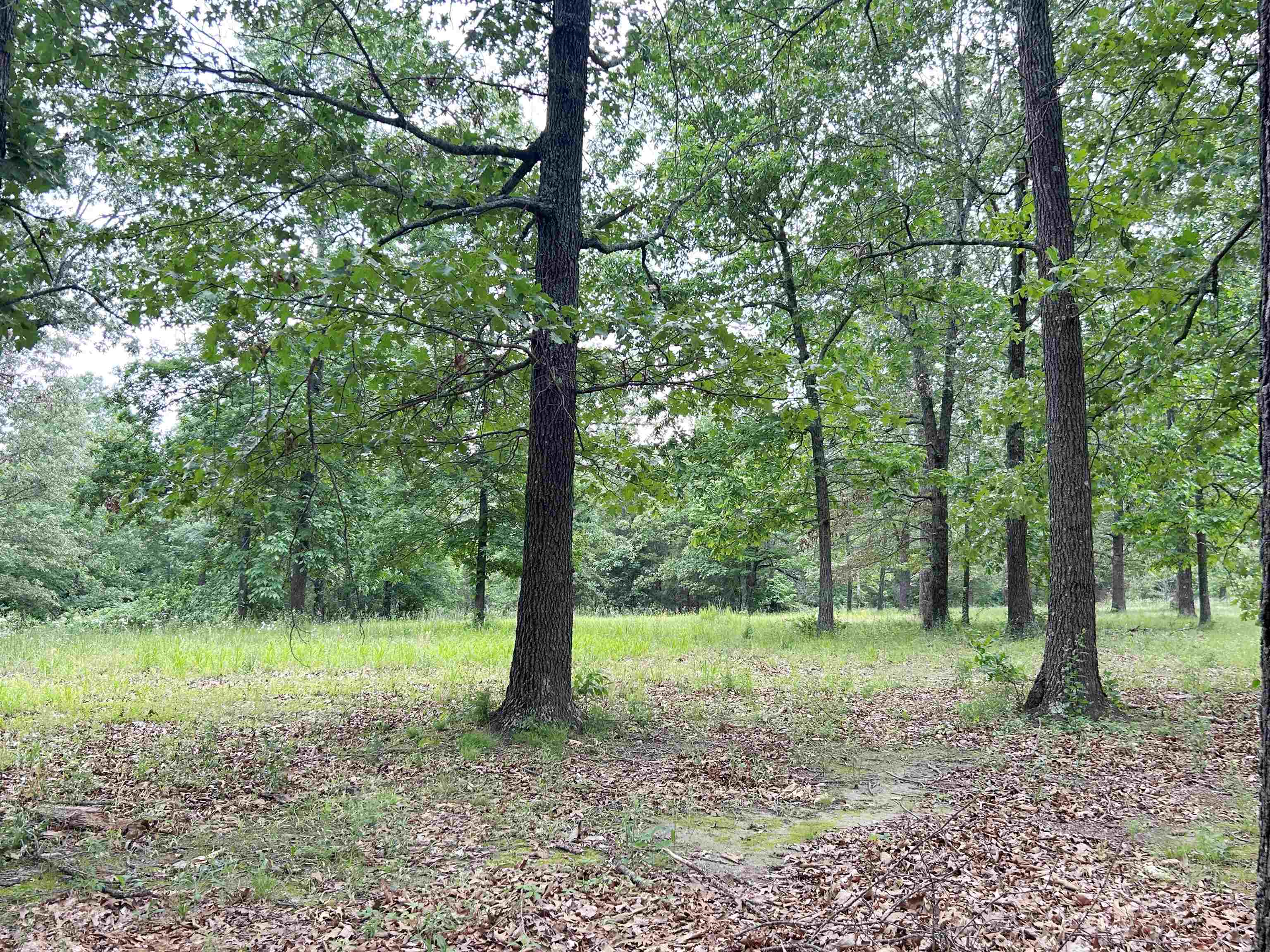 Photo 6 - Residential for sale – 1774  AR Hwy 175   Hardy, AR