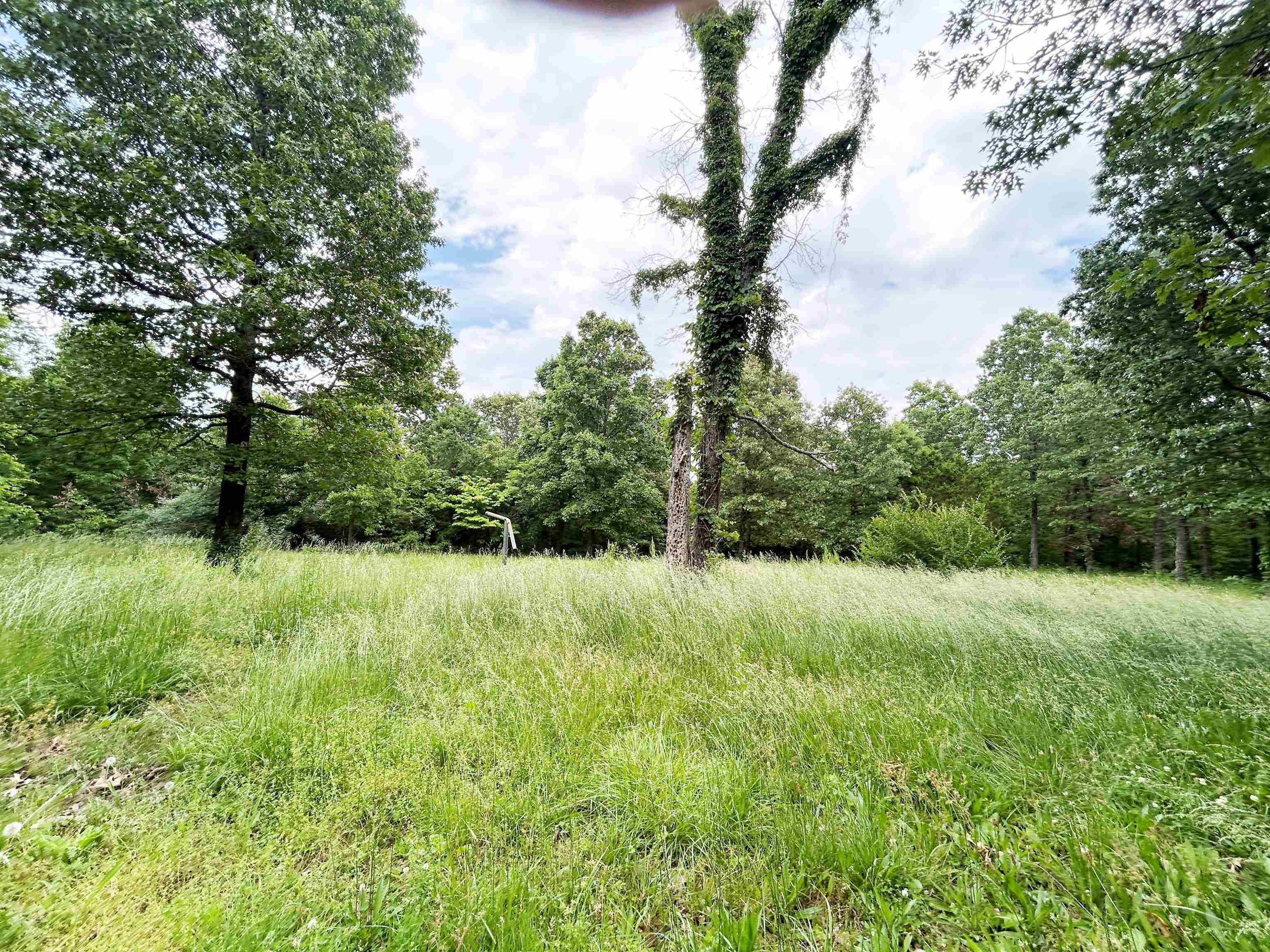 Photo 9 - Residential for sale – 1774  AR Hwy 175   Hardy, AR