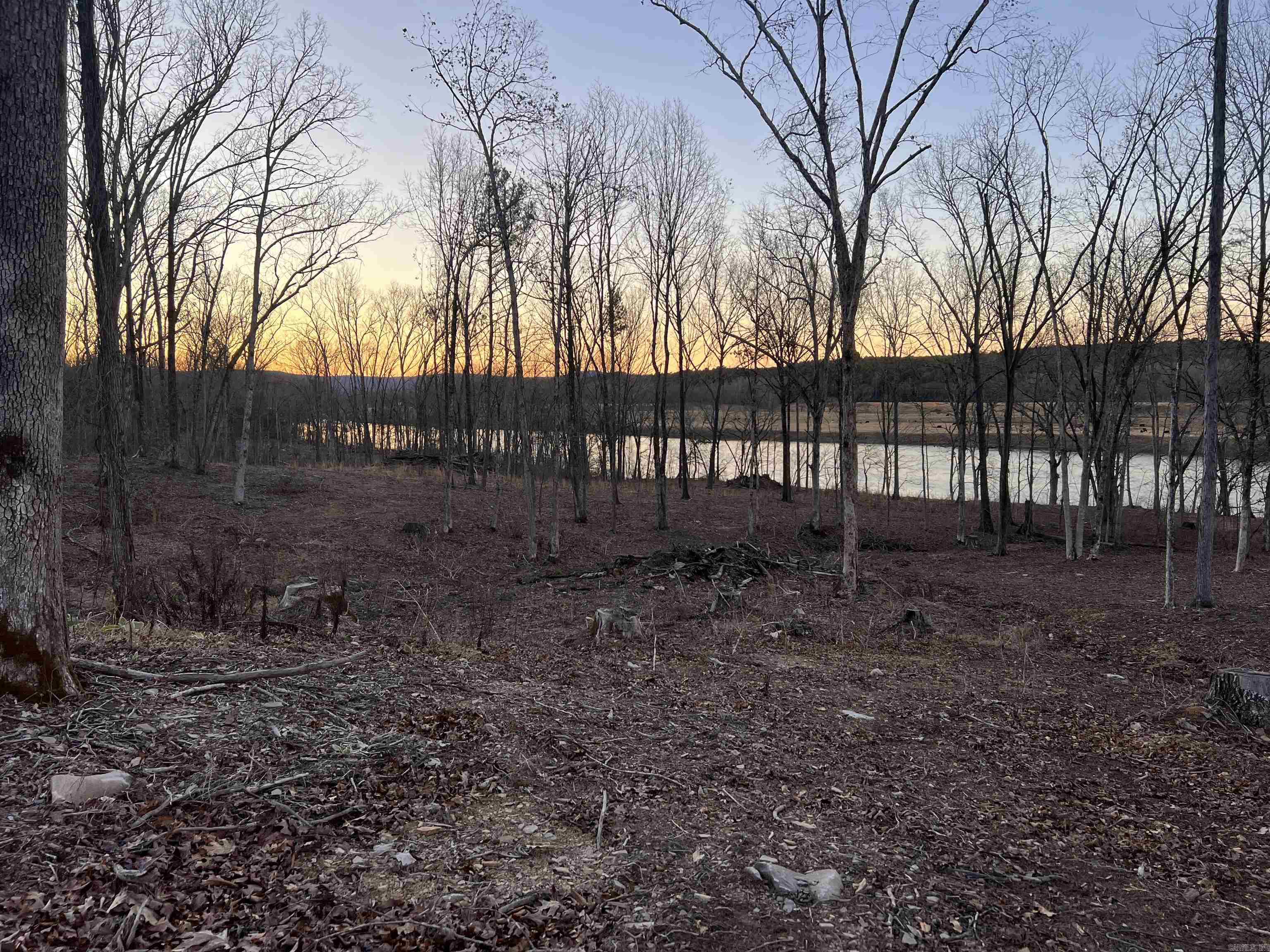 Photo 3 - Vacant Land for sale – Lot 3  Mountain View Rd   Locust Grove, AR