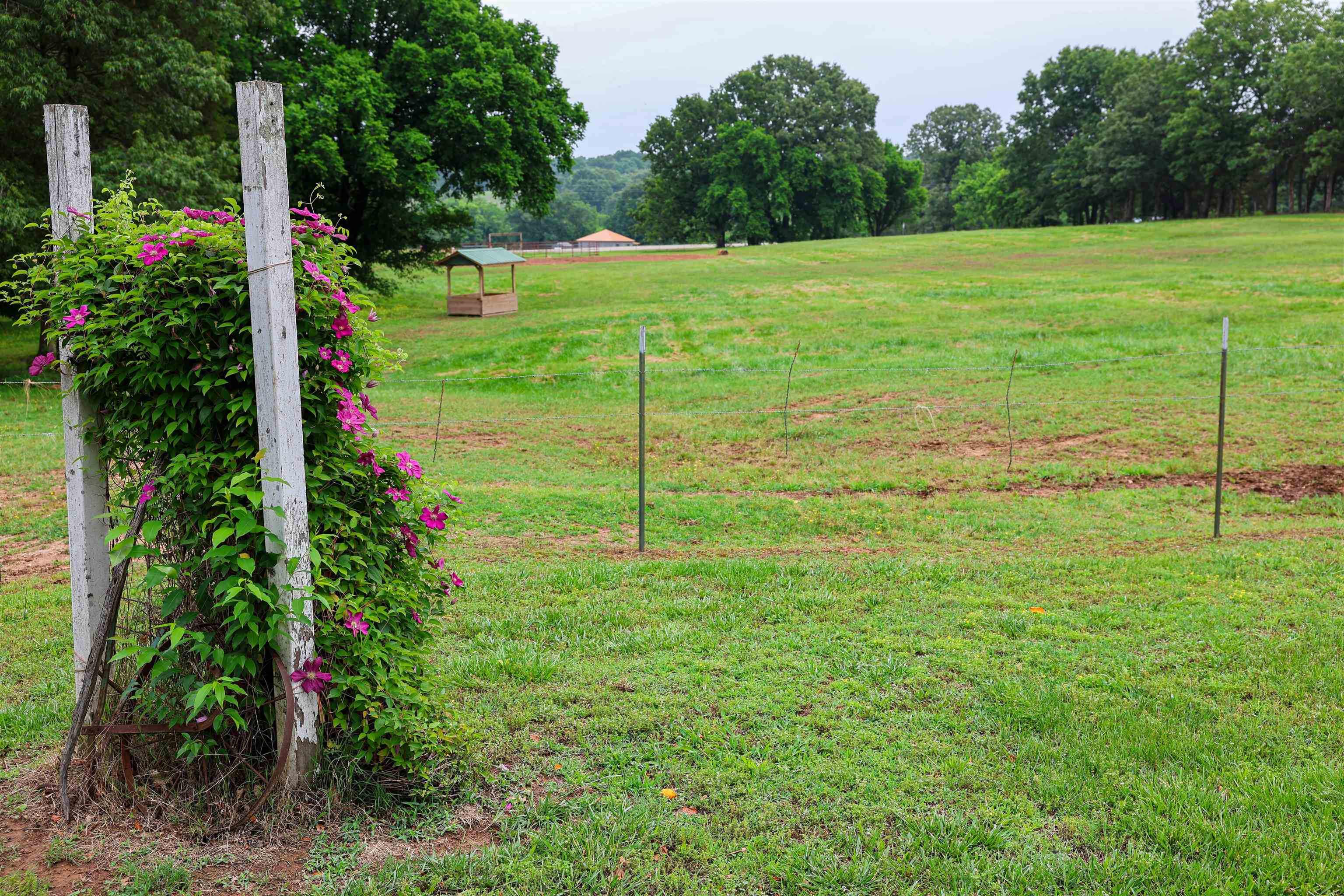 Photo 46 - Residential for sale – 129  Old Ridge Rd   Salem, AR