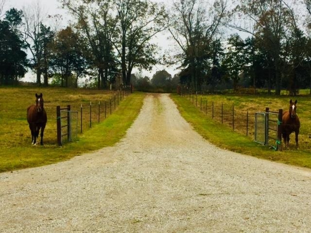Photo 6 - Residential for sale – 129  Old Ridge Rd   Salem, AR