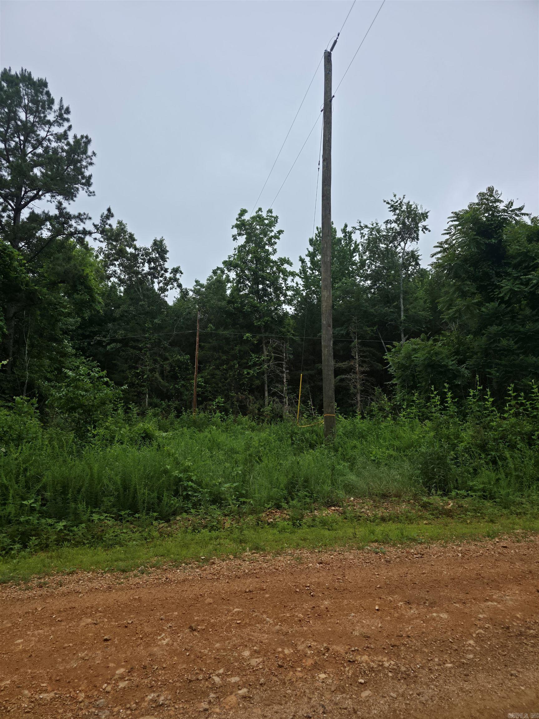 Photo 2 - Vacant Land for sale –   Lock 3   Batesville, AR