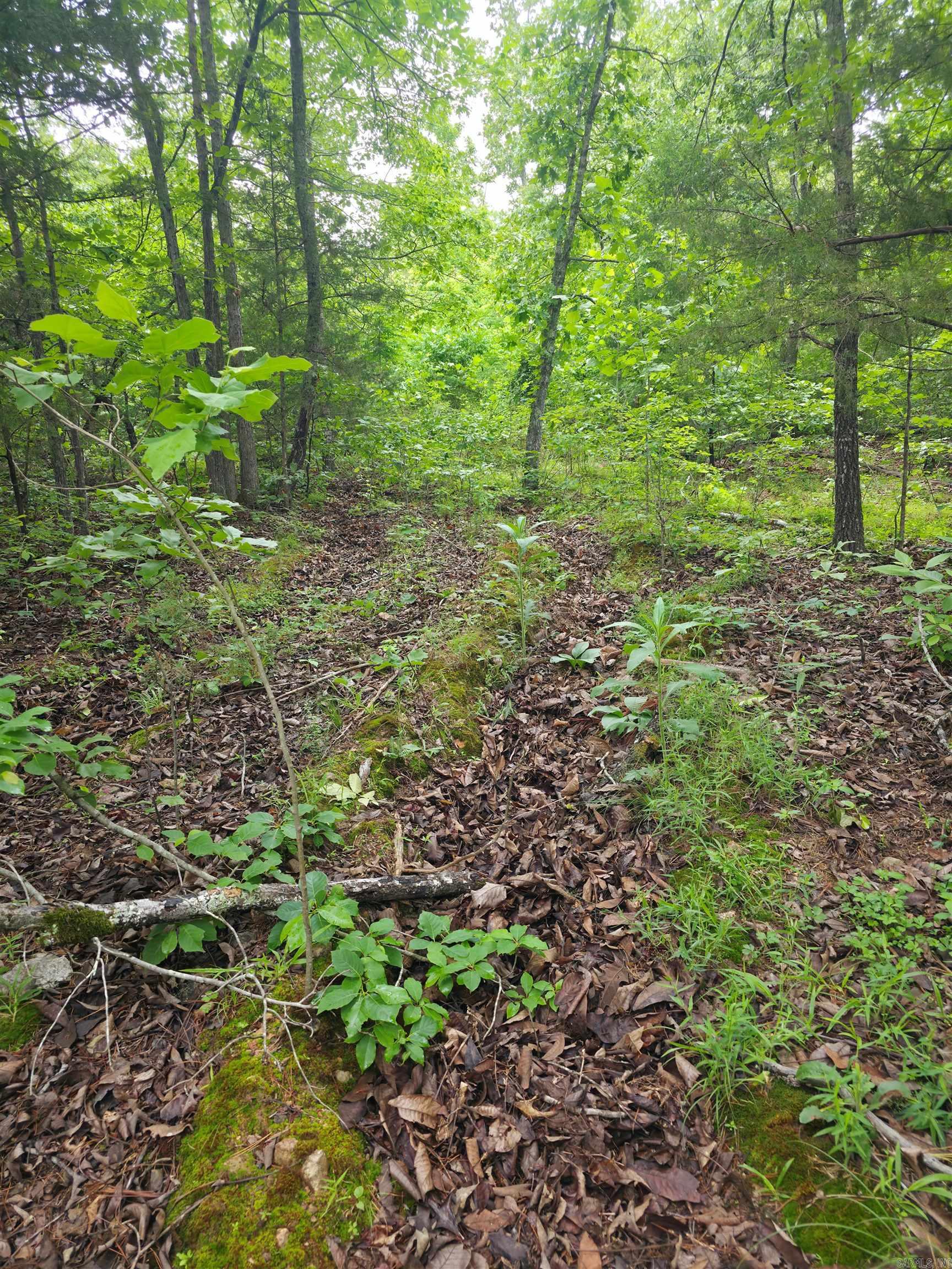 Photo 11 - Vacant Land for sale –   Lock 3   Batesville, AR