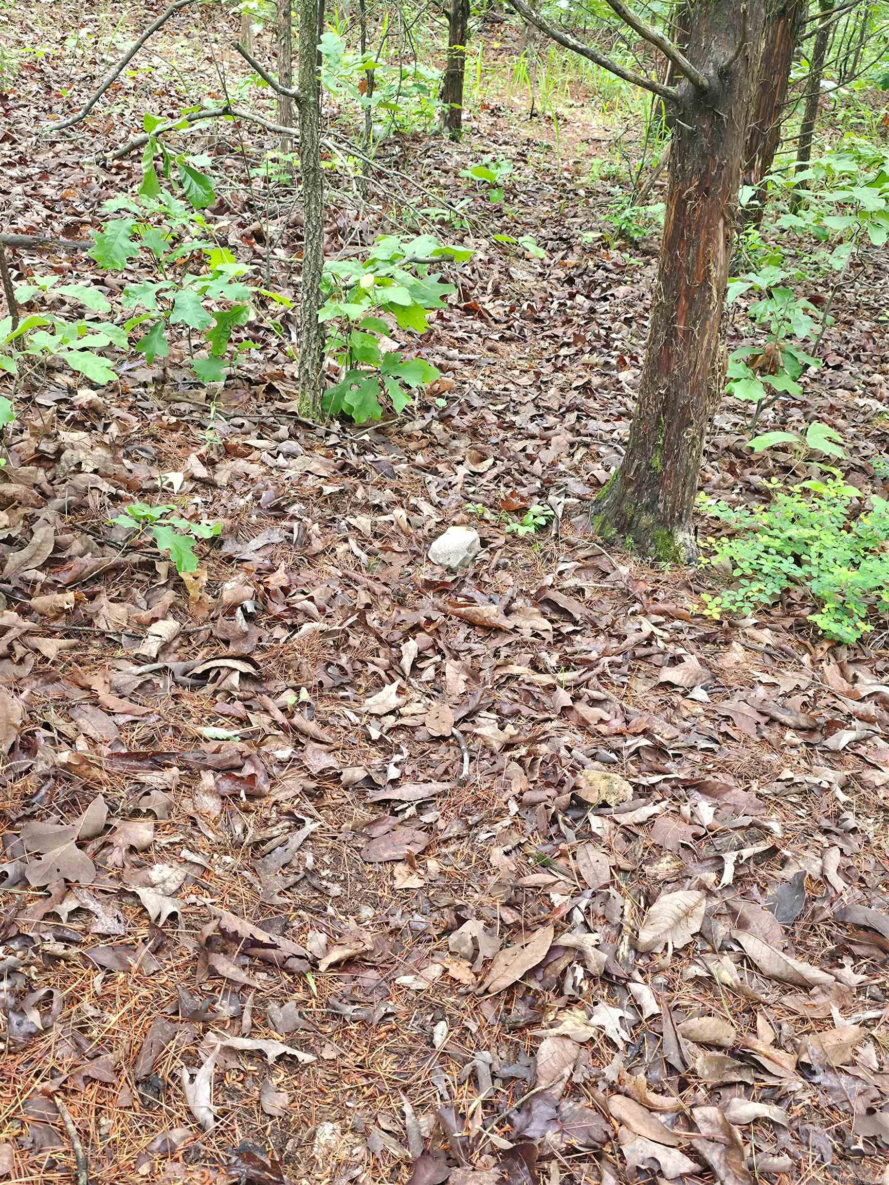 Photo 12 - Vacant Land for sale –   Lock 3   Batesville, AR
