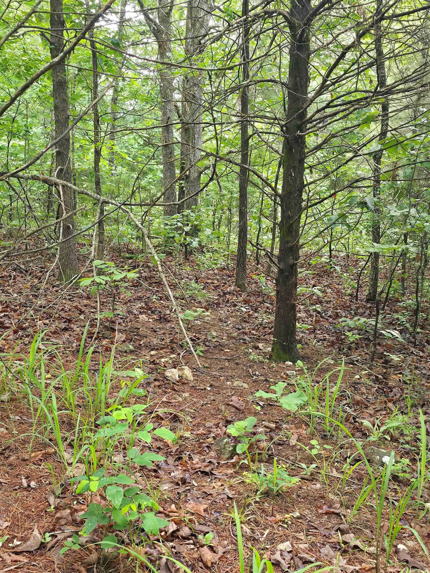 Photo 13 - Vacant Land for sale –   Lock 3   Batesville, AR