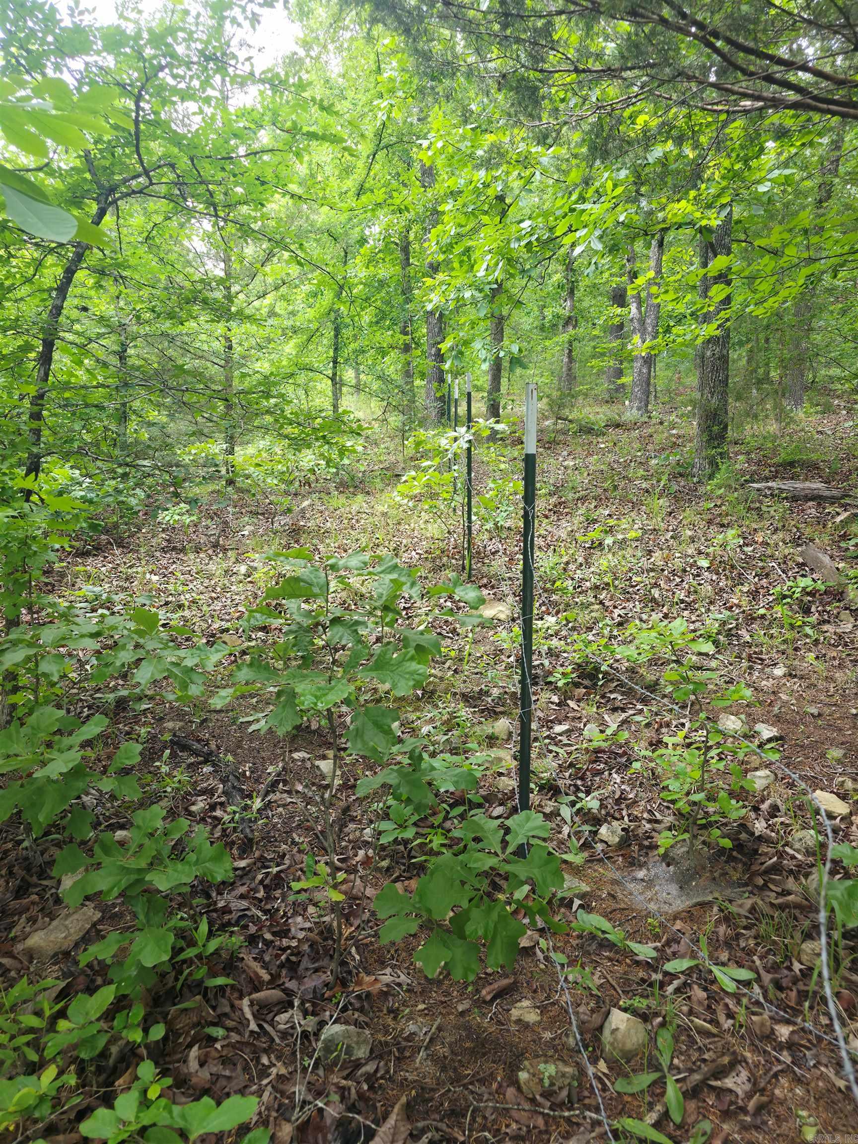 Photo 14 - Vacant Land for sale –   Lock 3   Batesville, AR