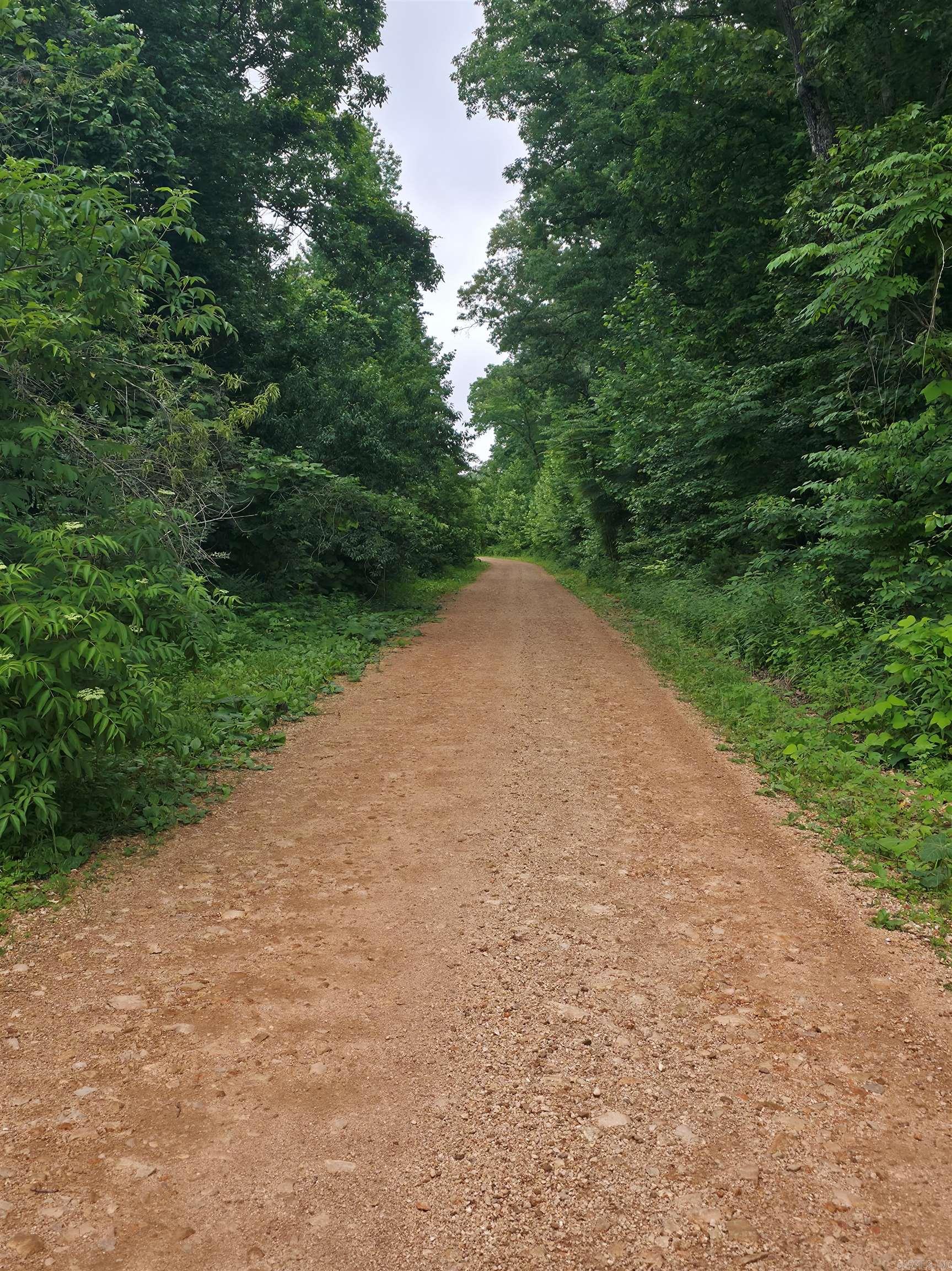 Photo 17 - Vacant Land for sale –   Lock 3   Batesville, AR