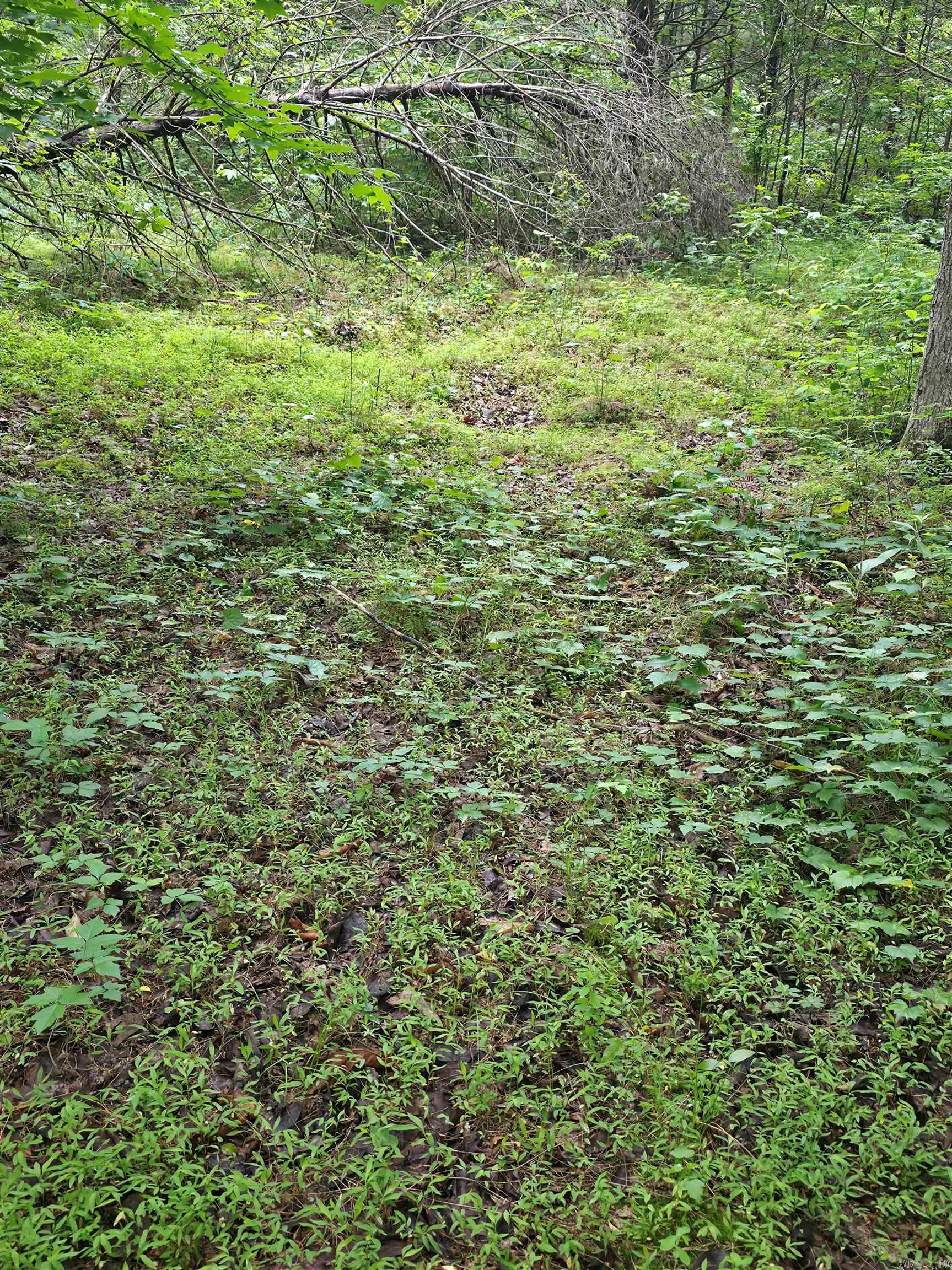 Photo 19 - Vacant Land for sale –   Lock 3   Batesville, AR