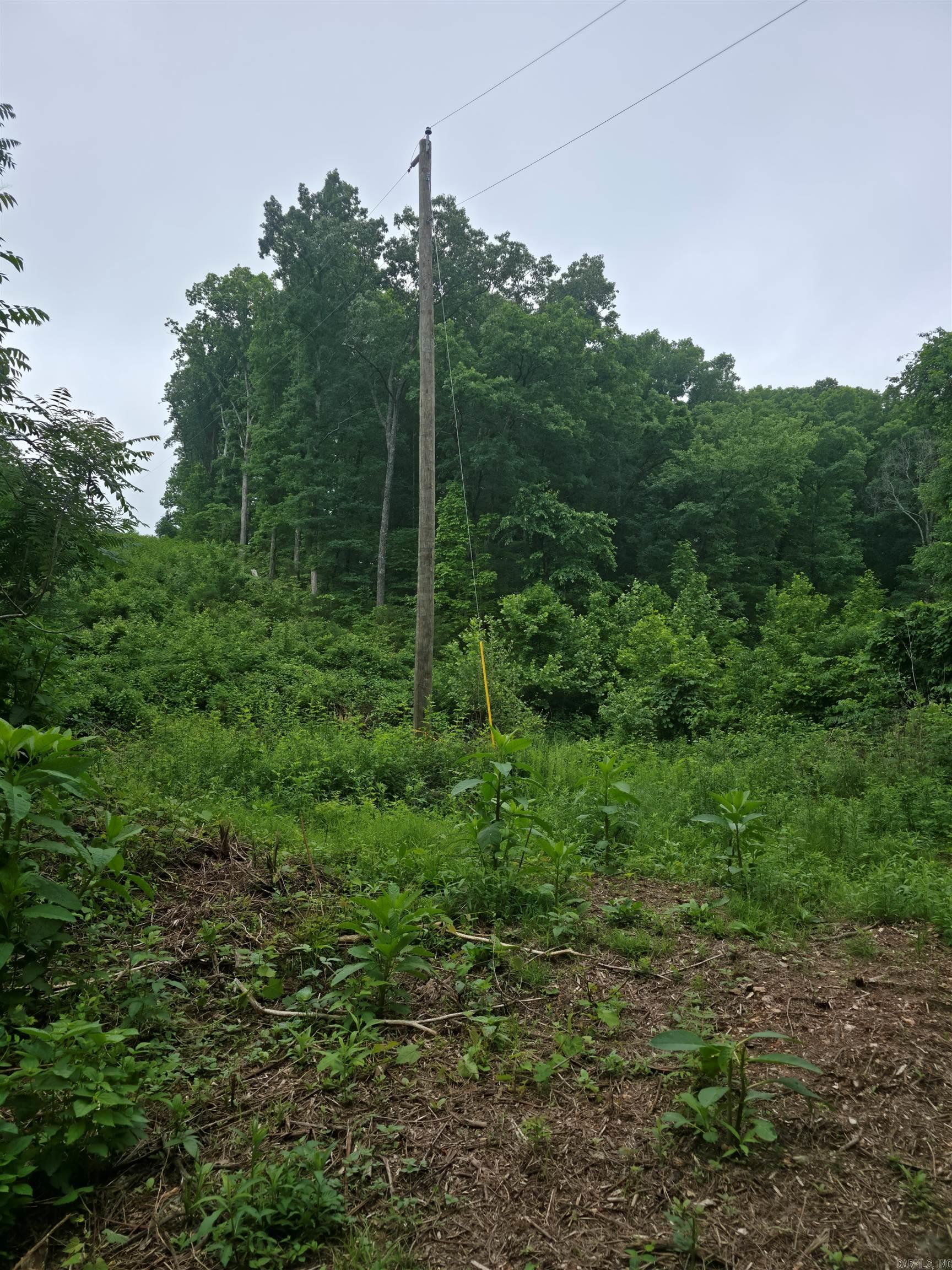 Photo 3 - Vacant Land for sale –   Lock 3   Batesville, AR