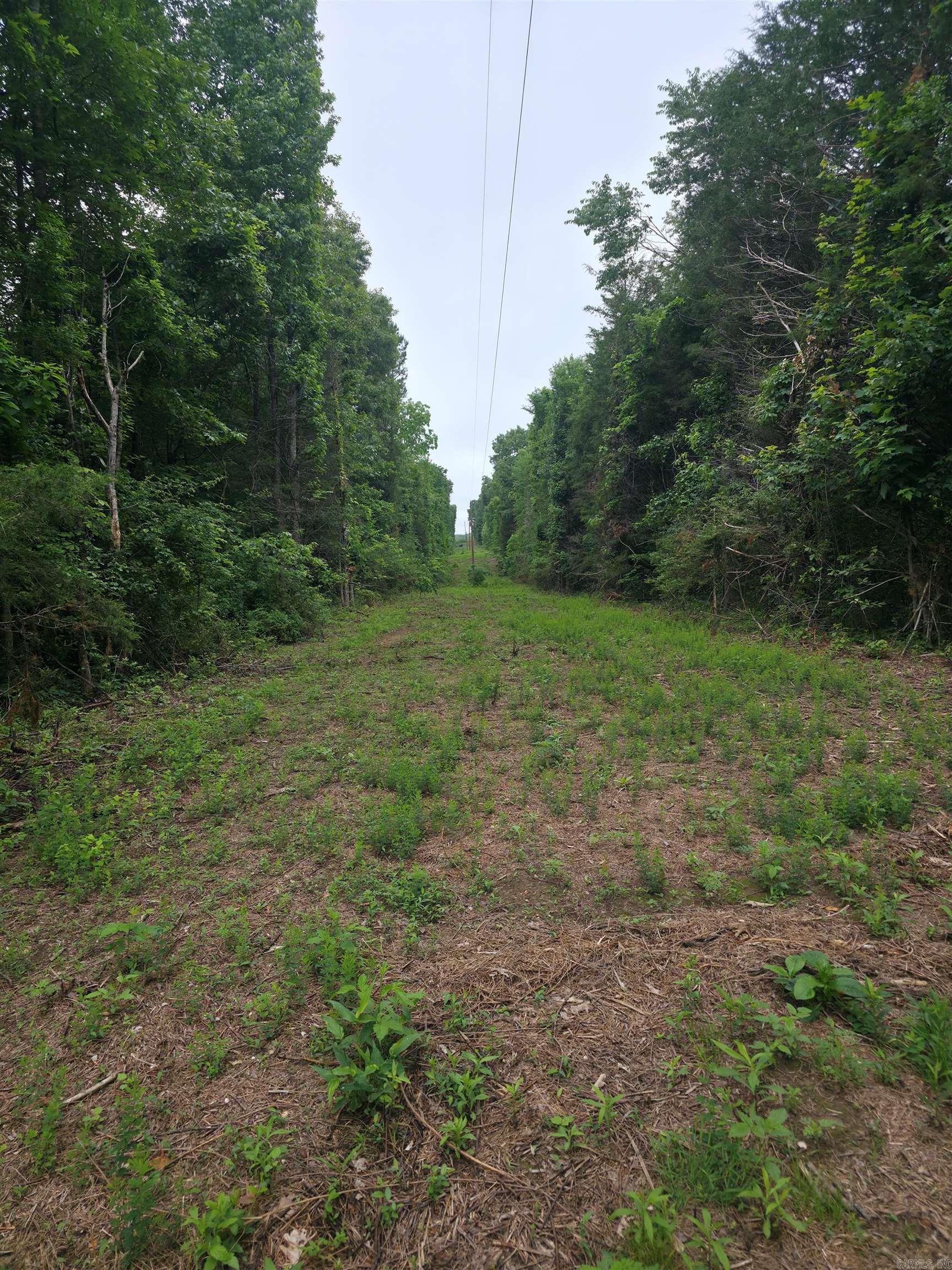 Photo 4 - Vacant Land for sale –   Lock 3   Batesville, AR