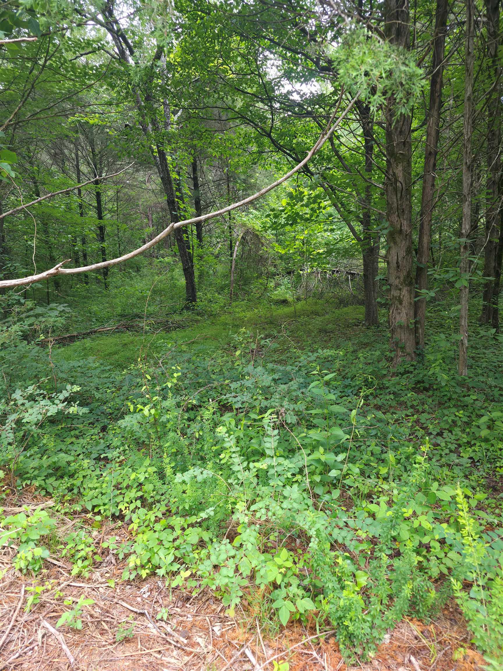 Photo 5 - Vacant Land for sale –   Lock 3   Batesville, AR