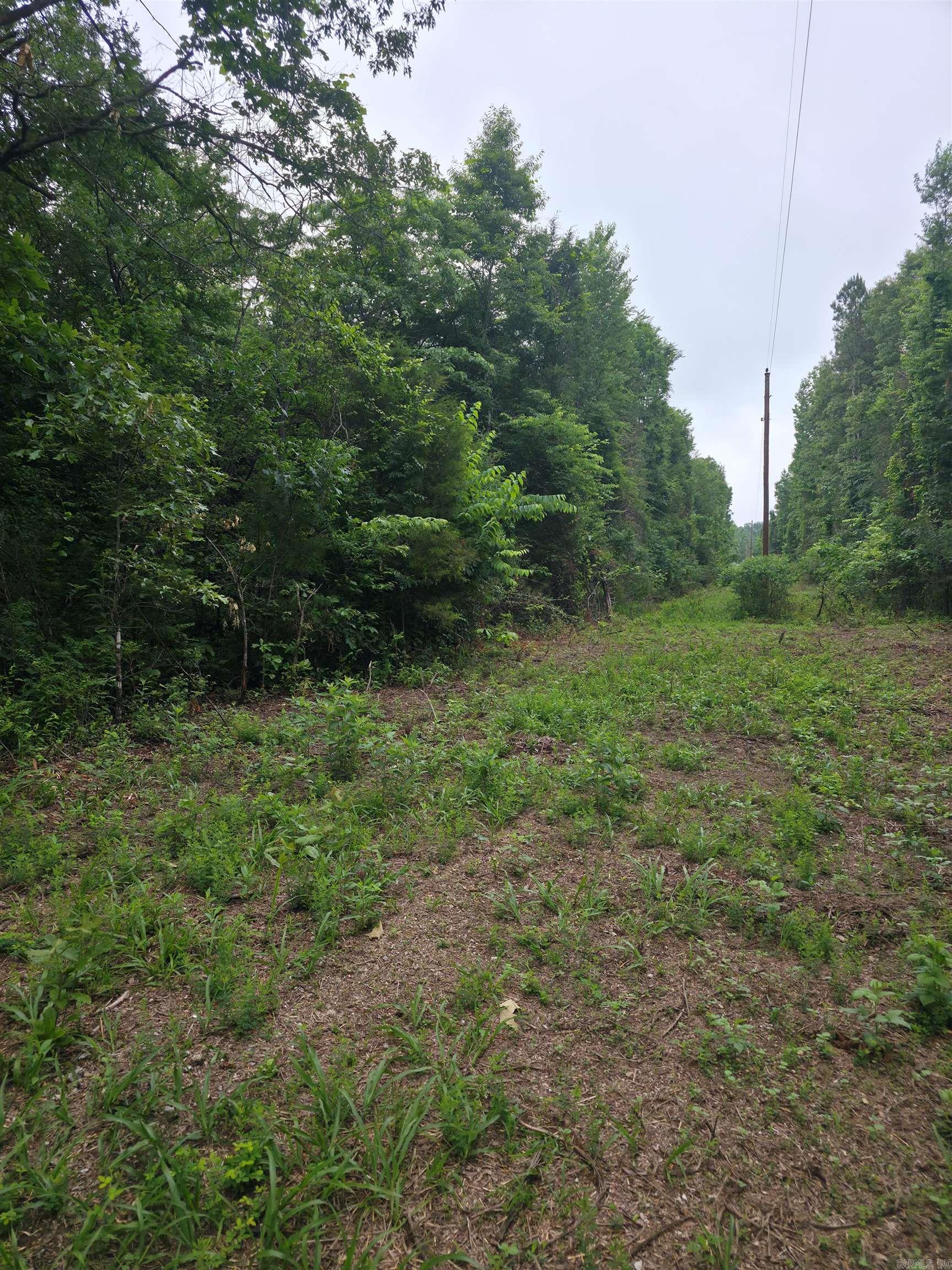 Photo 6 - Vacant Land for sale –   Lock 3   Batesville, AR