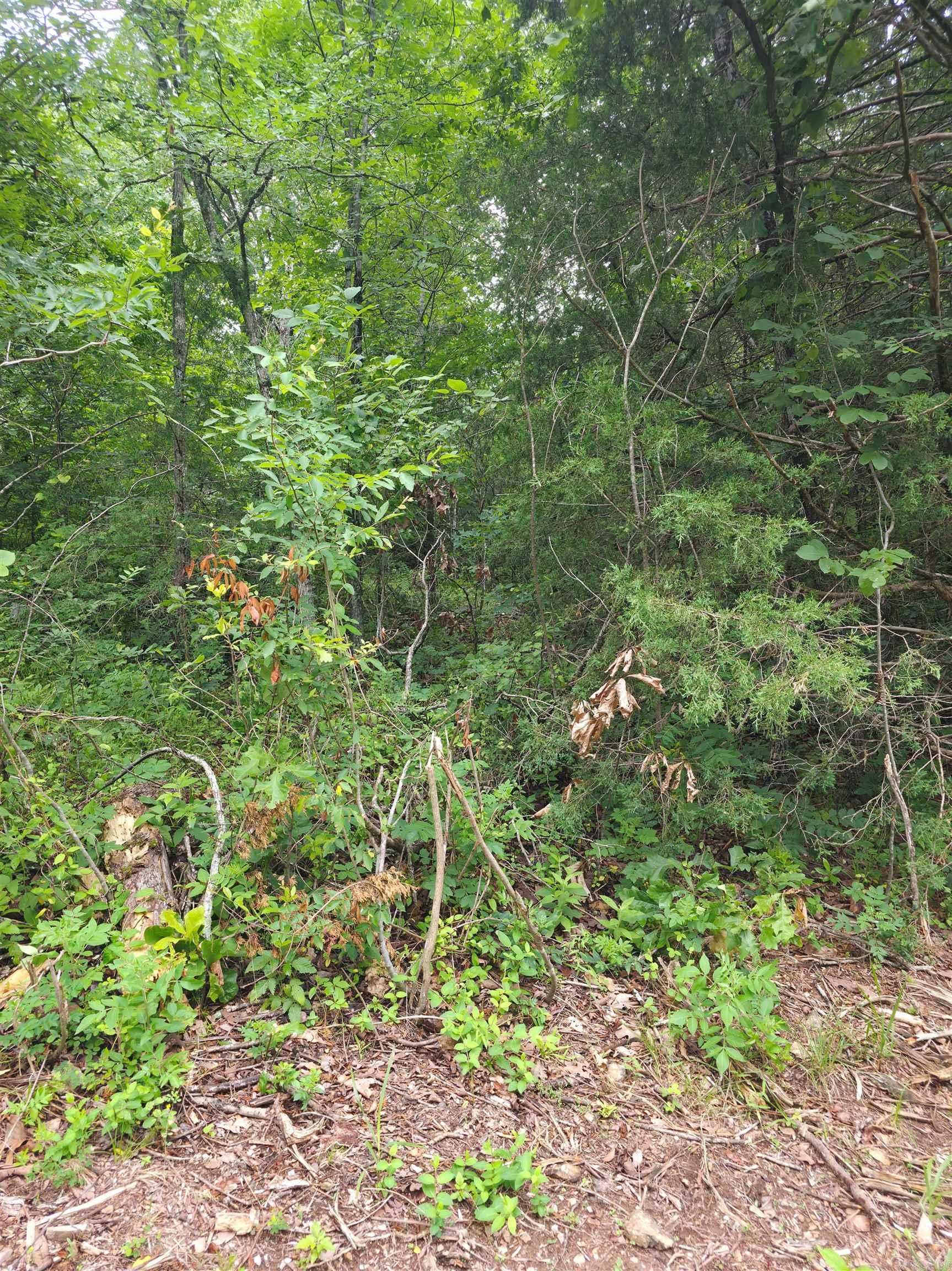 Photo 7 - Vacant Land for sale –   Lock 3   Batesville, AR