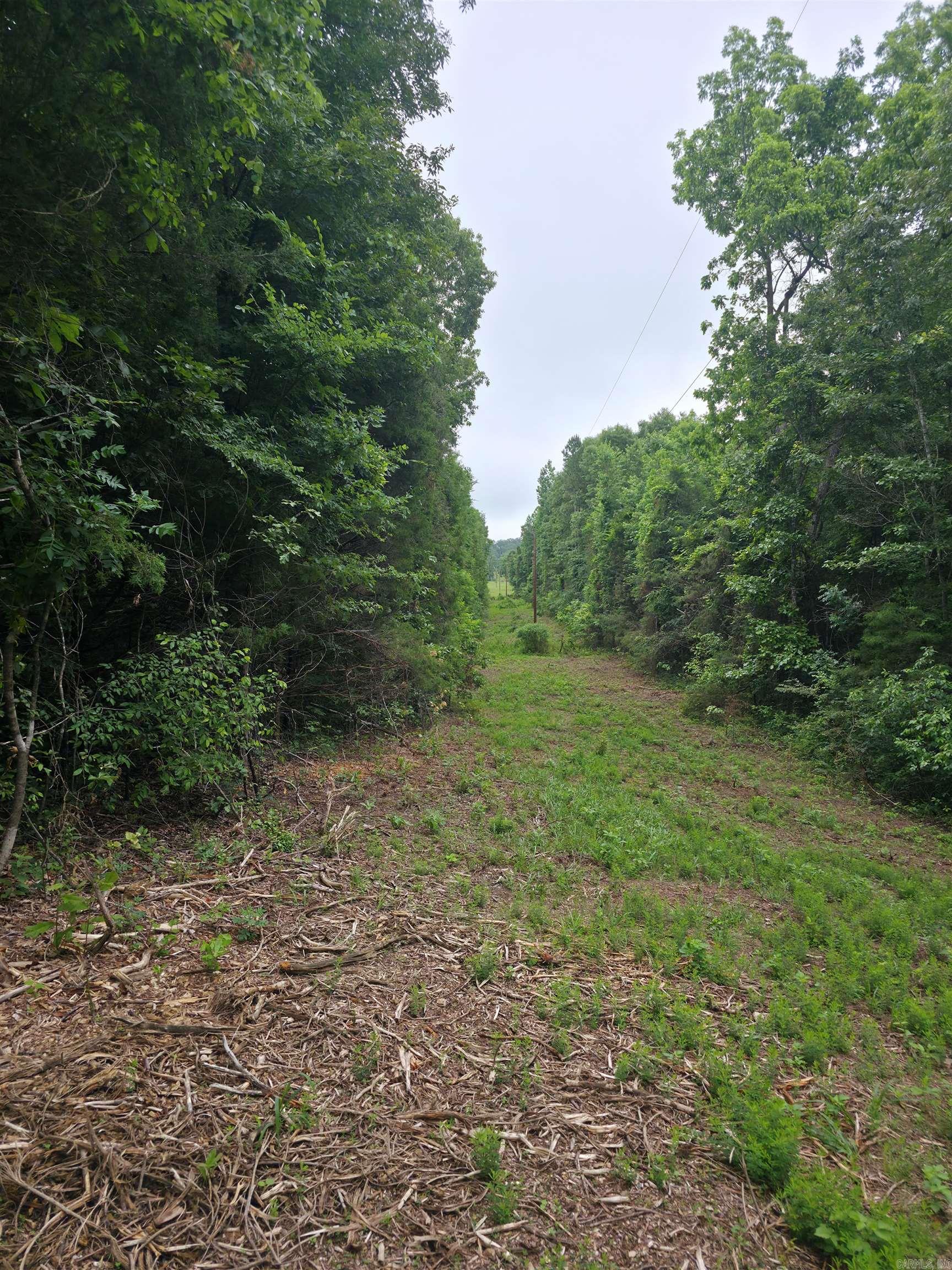 Photo 8 - Vacant Land for sale –   Lock 3   Batesville, AR