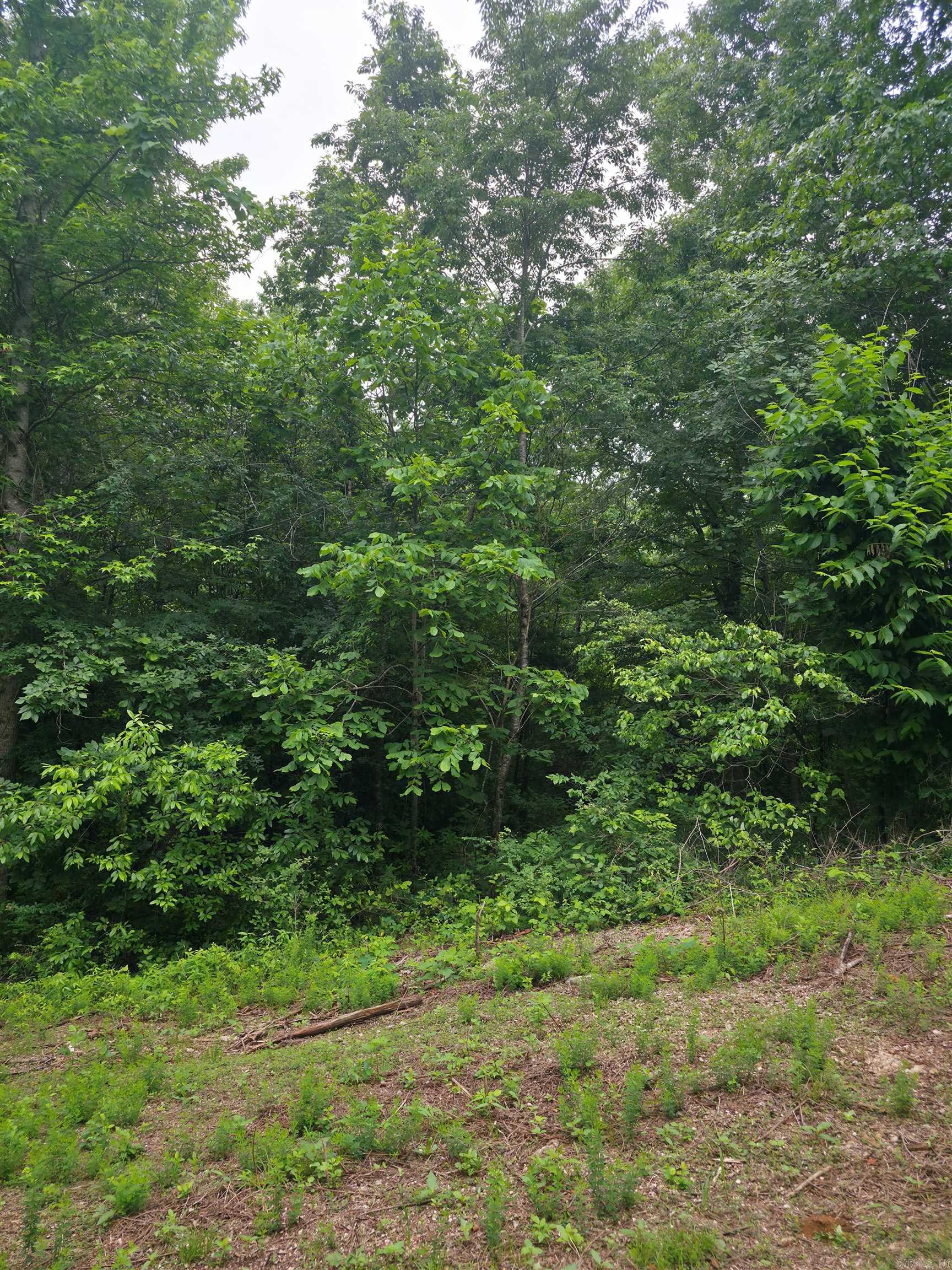 Photo 9 - Vacant Land for sale –   Lock 3   Batesville, AR