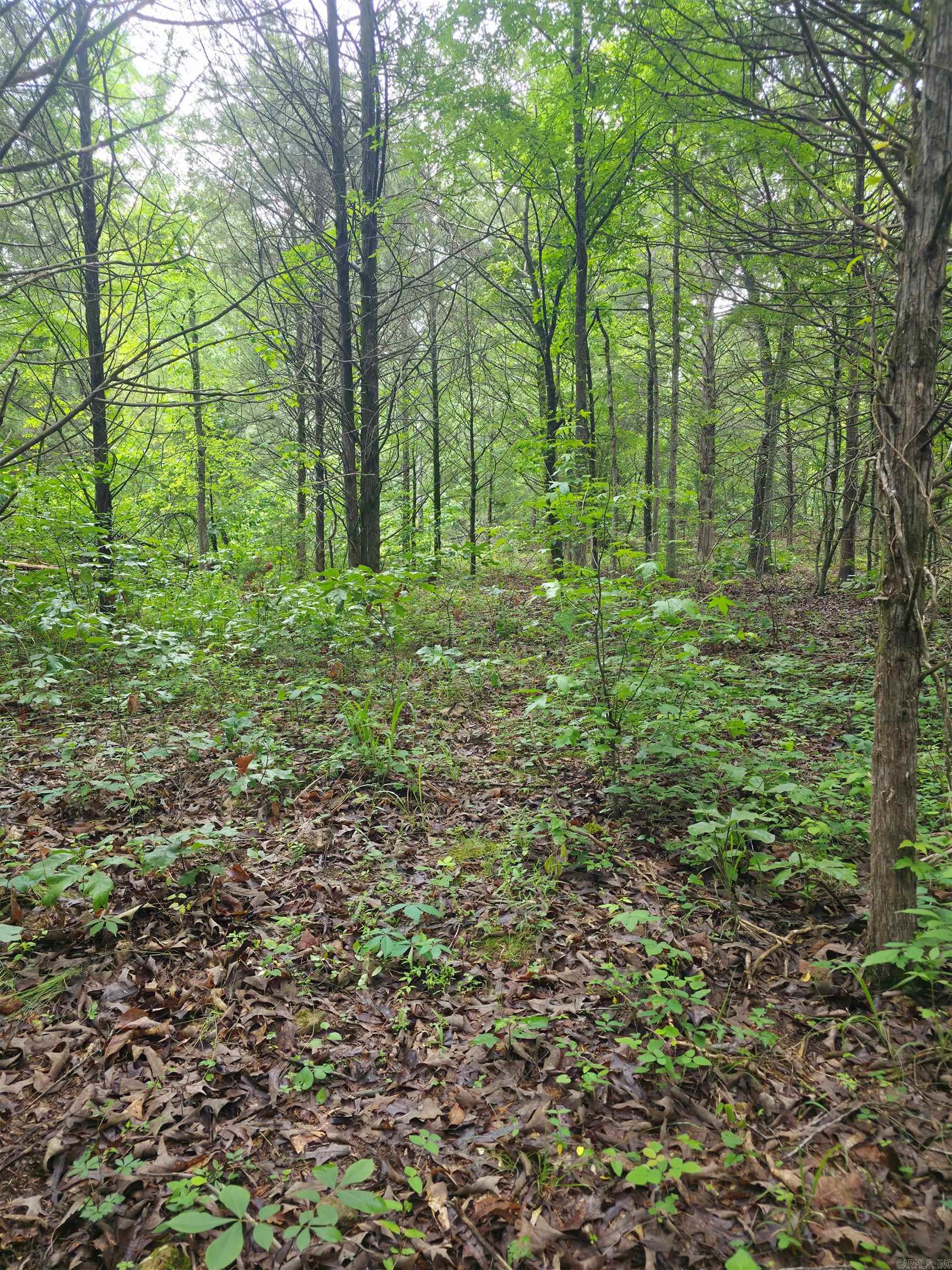 Photo 10 - Vacant Land for sale –   Lock 3   Batesville, AR