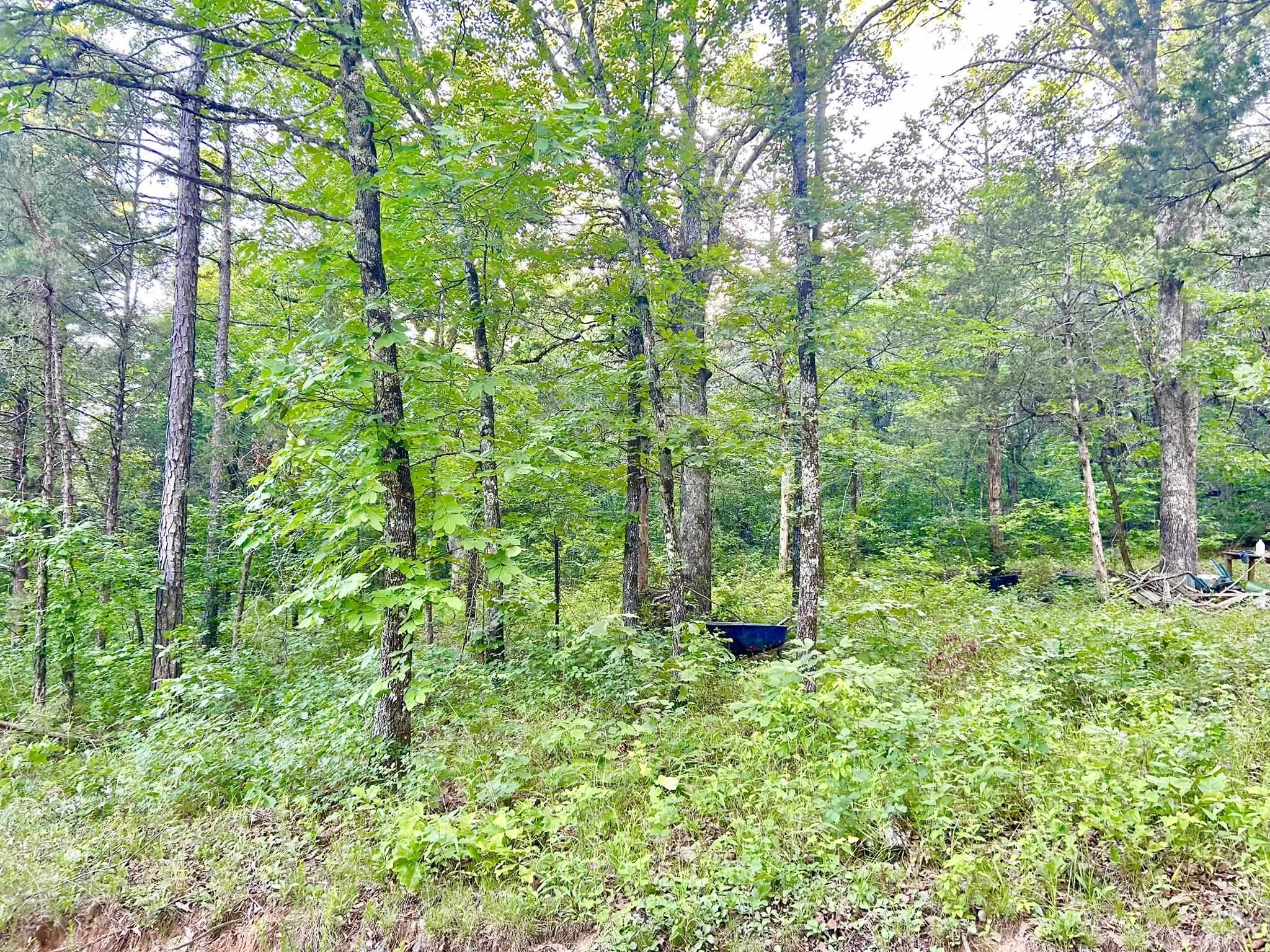 Photo 2 - Vacant Land for sale – Lot 8 and 9  Ripplin Shoals   Melbourne, AR