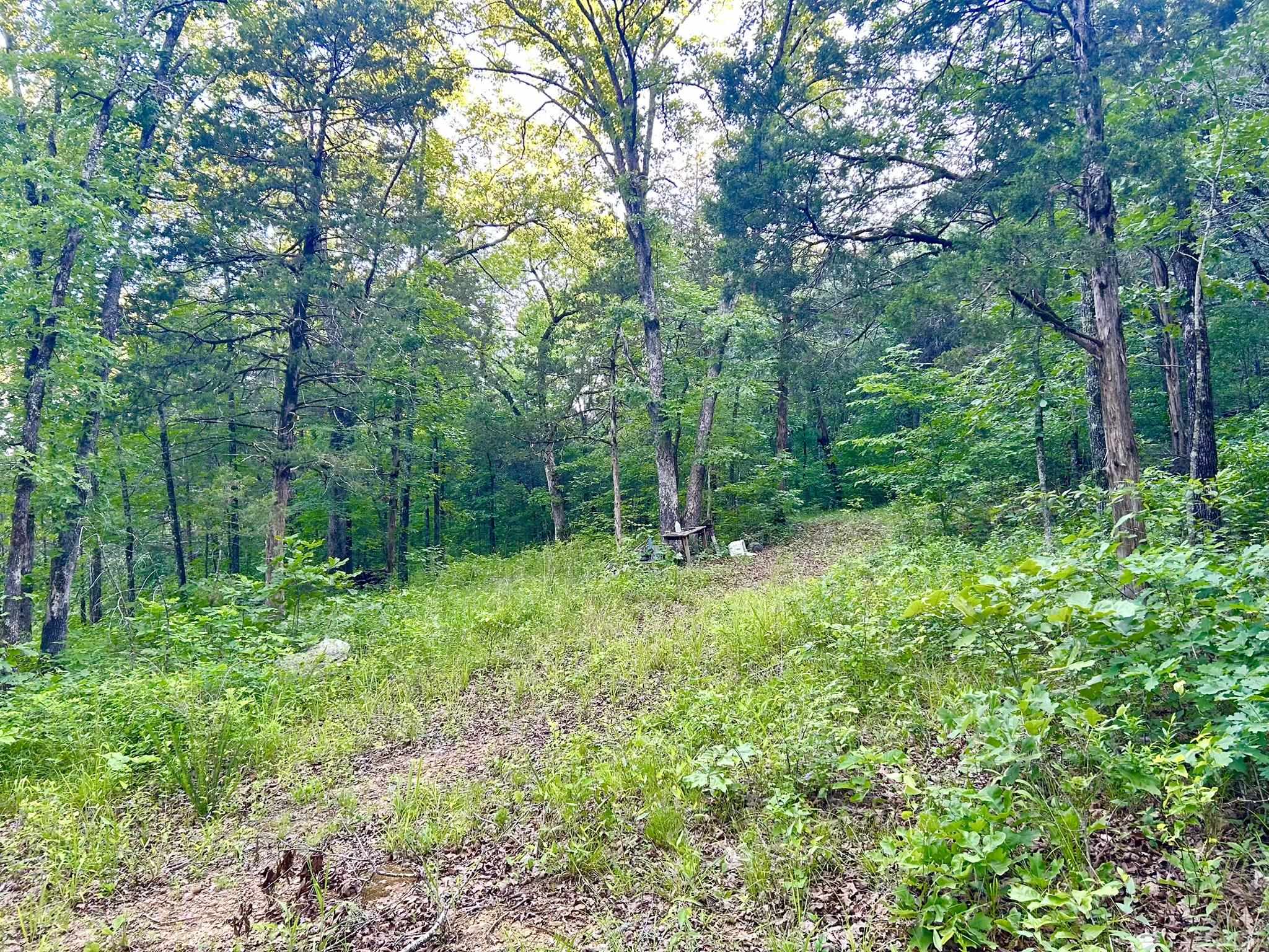 Photo 3 - Vacant Land for sale – Lot 8 and 9  Ripplin Shoals   Melbourne, AR
