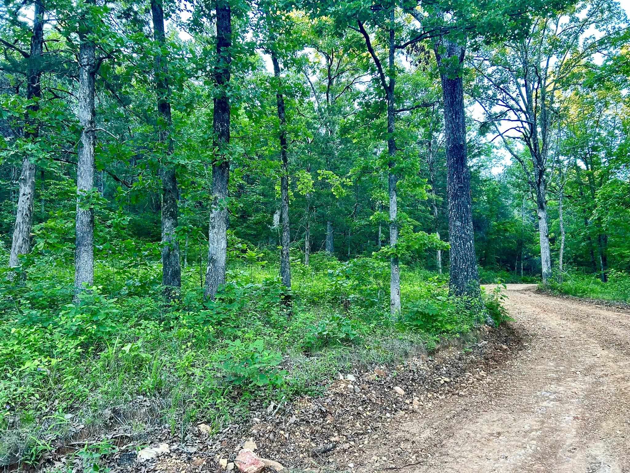 Photo 4 - Vacant Land for sale – Lot 8 and 9  Ripplin Shoals   Melbourne, AR