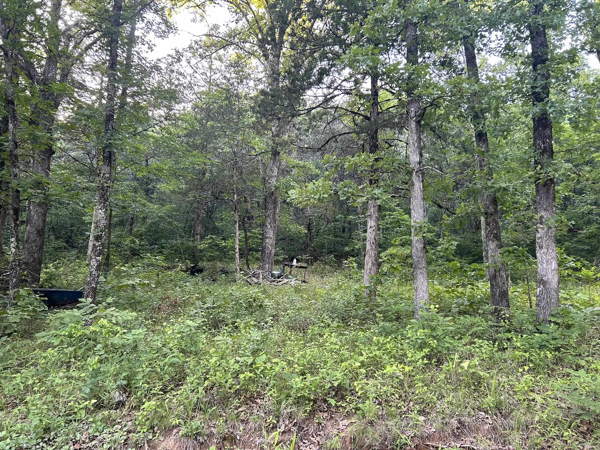 Photo 5 - Vacant Land for sale – Lot 8 and 9  Ripplin Shoals   Melbourne, AR