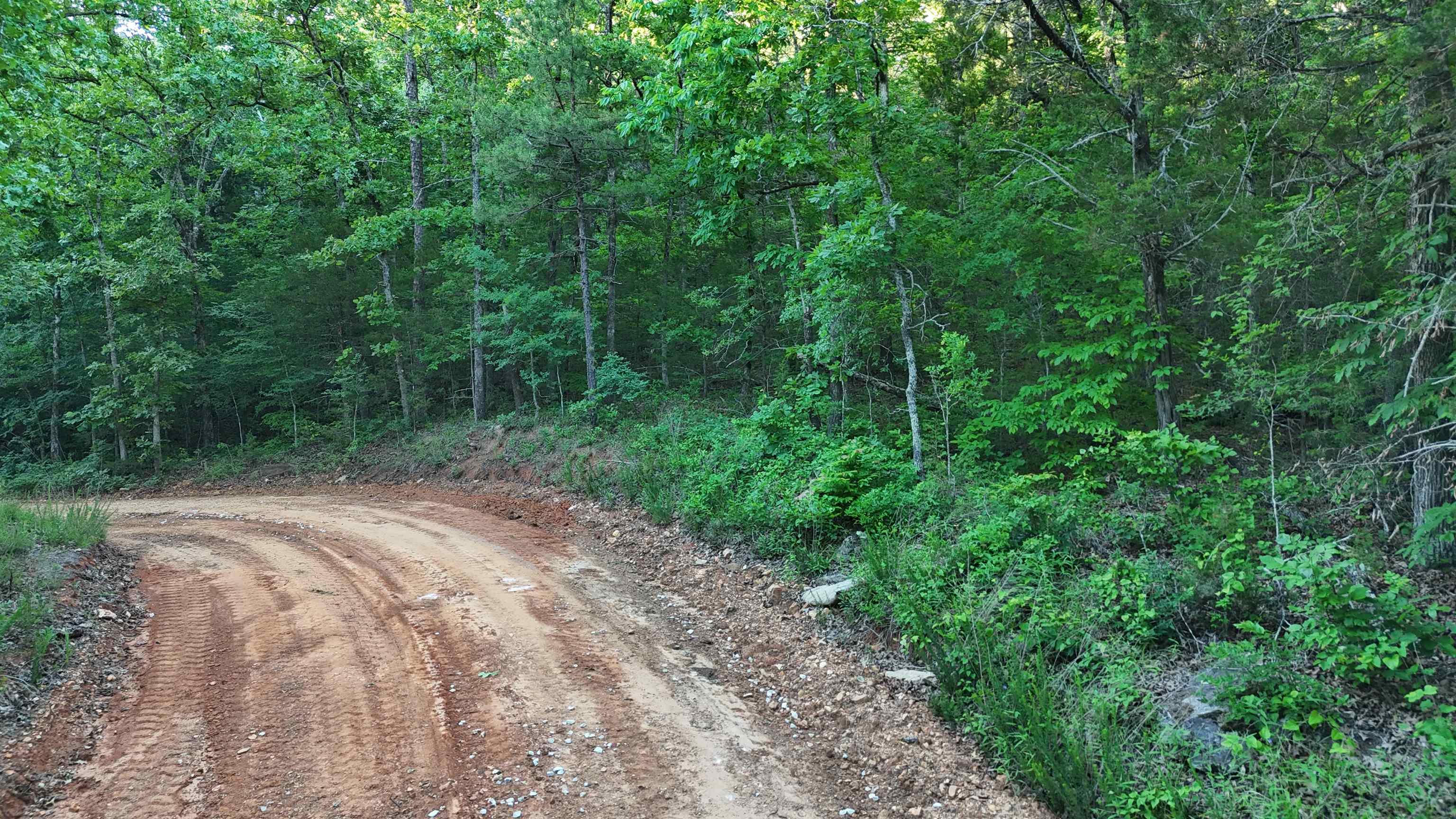 Photo 7 - Vacant Land for sale – Lot 8 and 9  Ripplin Shoals   Melbourne, AR