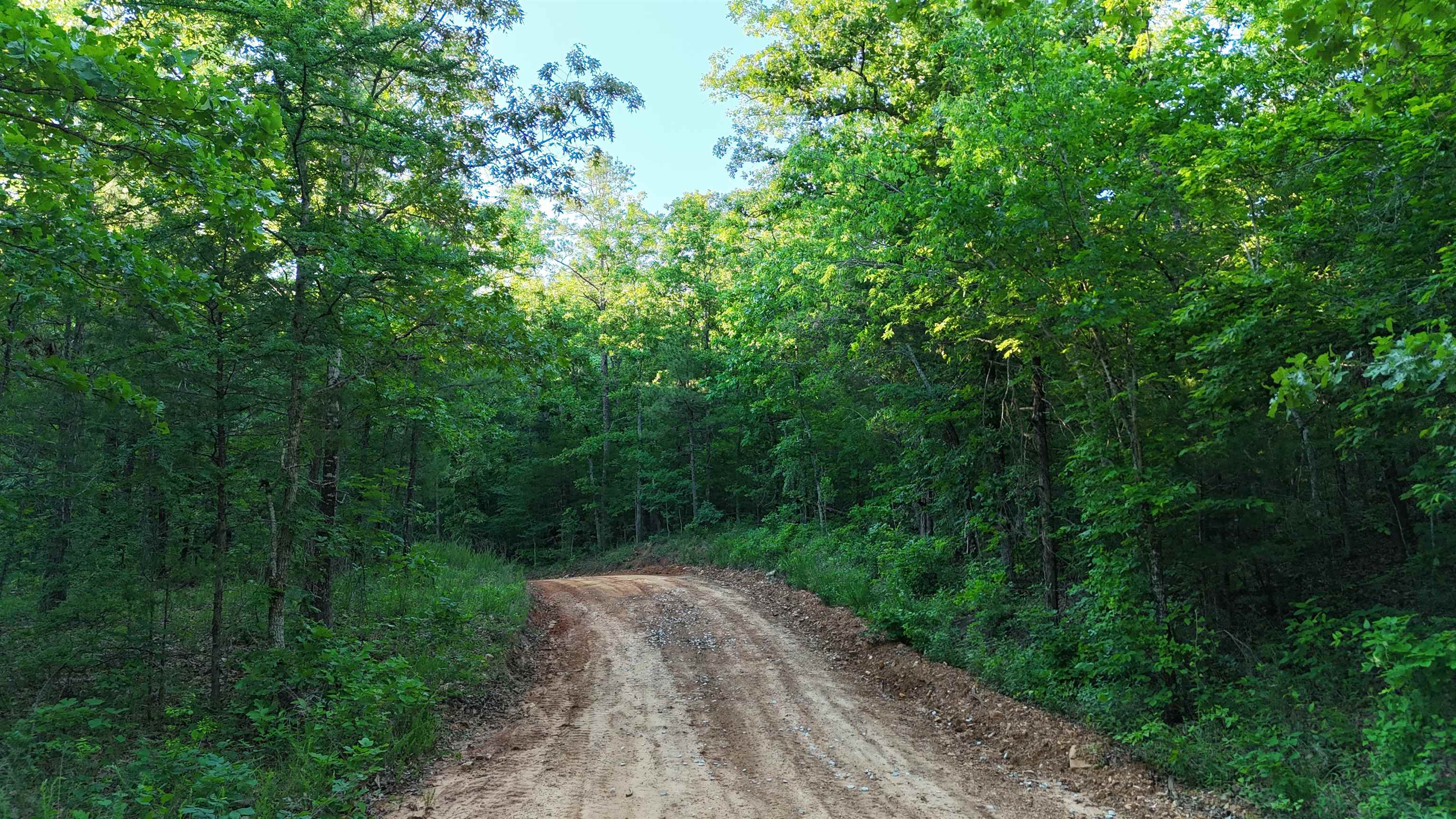 Photo 8 - Vacant Land for sale – Lot 8 and 9  Ripplin Shoals   Melbourne, AR