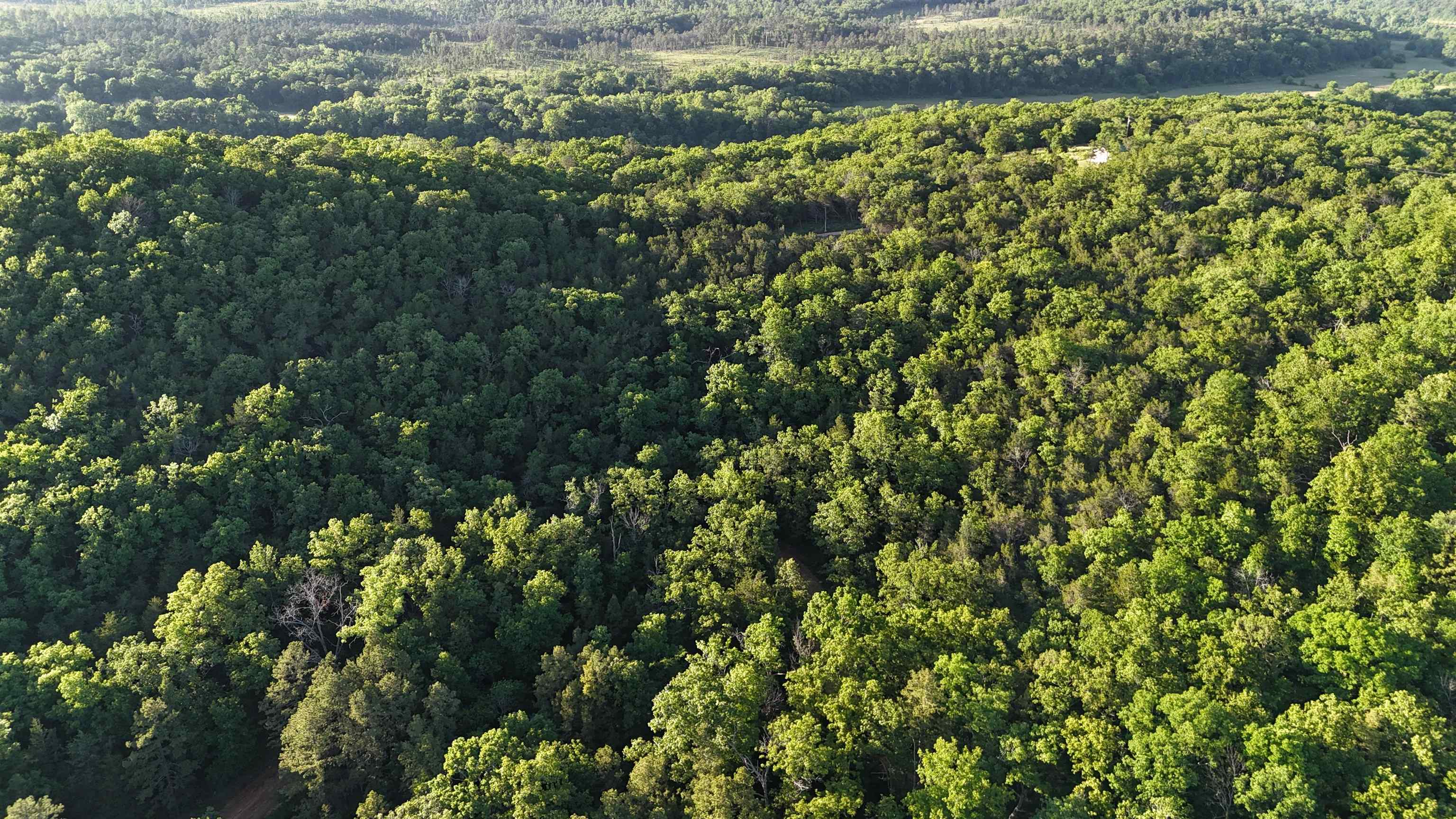 Photo 9 - Vacant Land for sale – Lot 8 and 9  Ripplin Shoals   Melbourne, AR