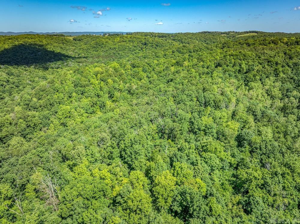 Photo 12 - Residential for sale – 2061  Mcknight Road   Guion, AR