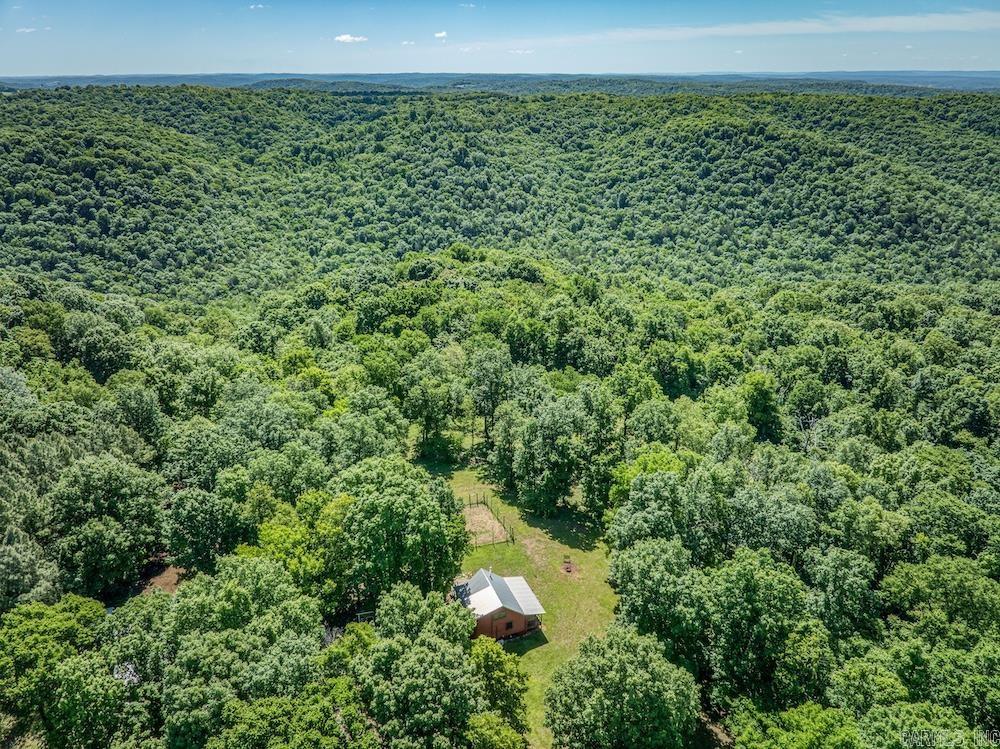 Photo 7 - Residential for sale – 2061  Mcknight Road   Guion, AR